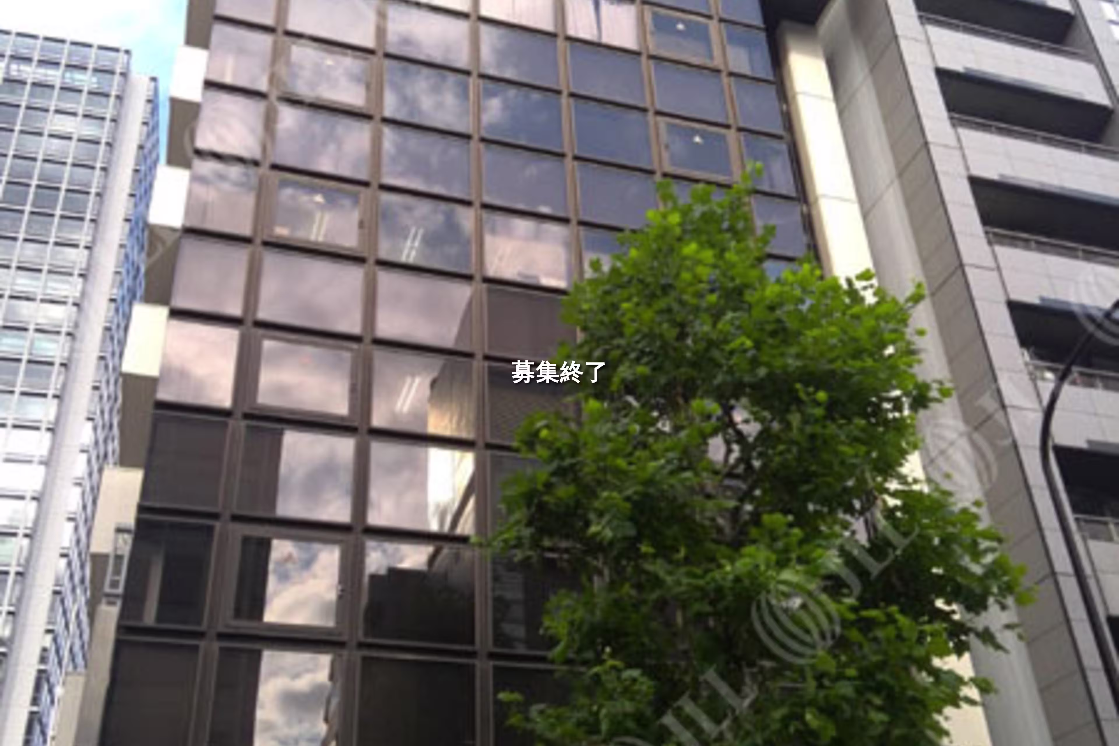 西新橋1-6-13