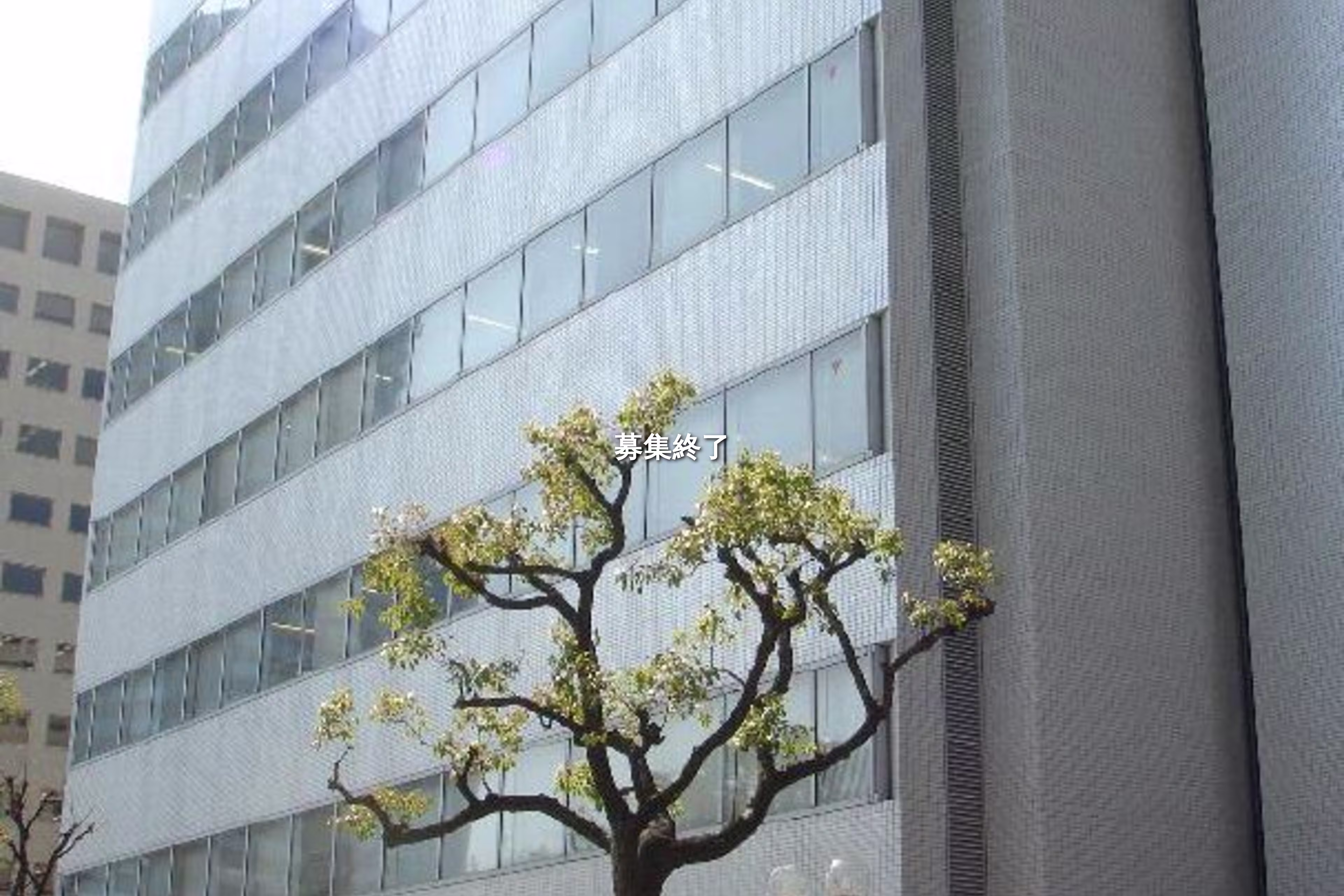 東町126
