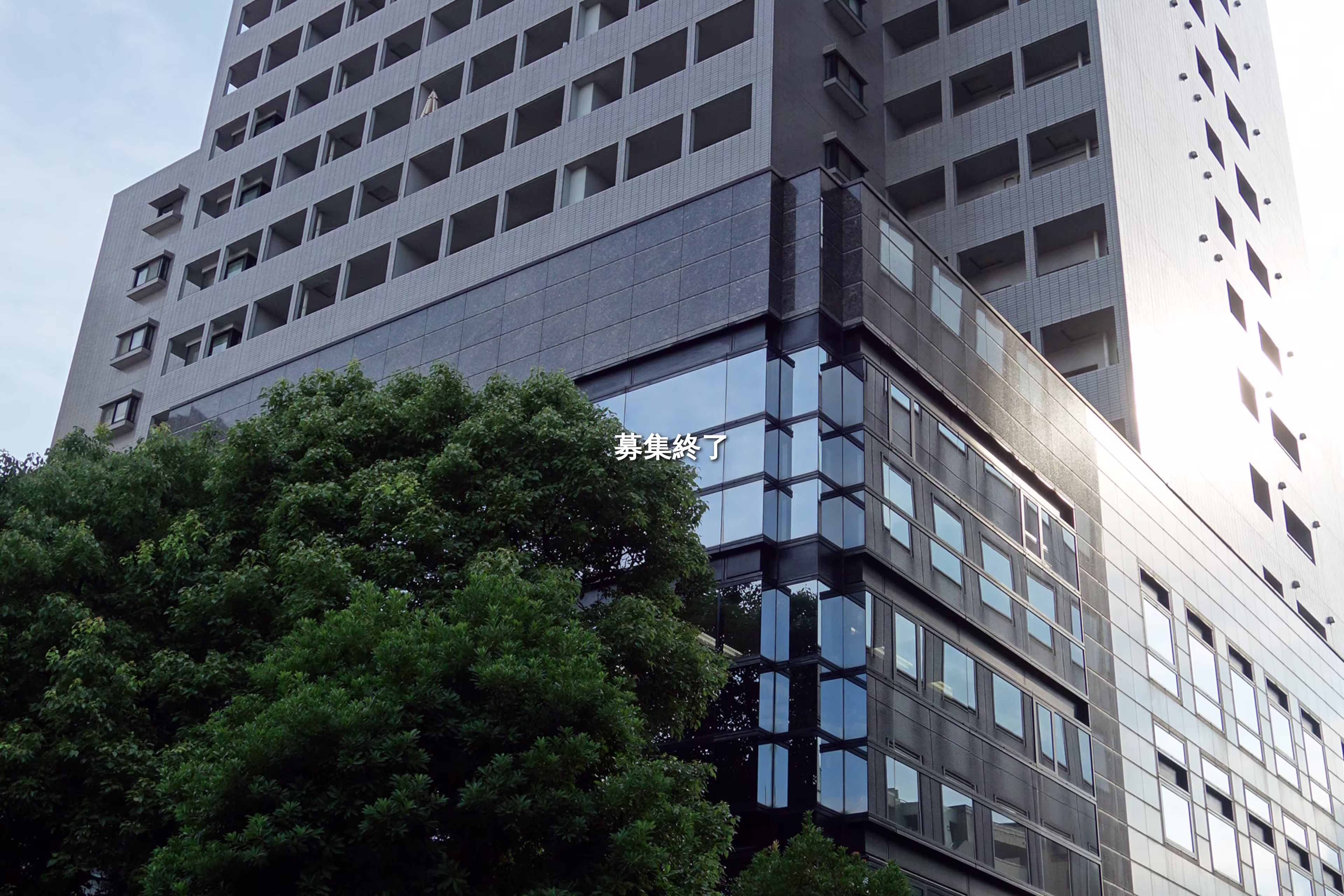 新小川町6-36