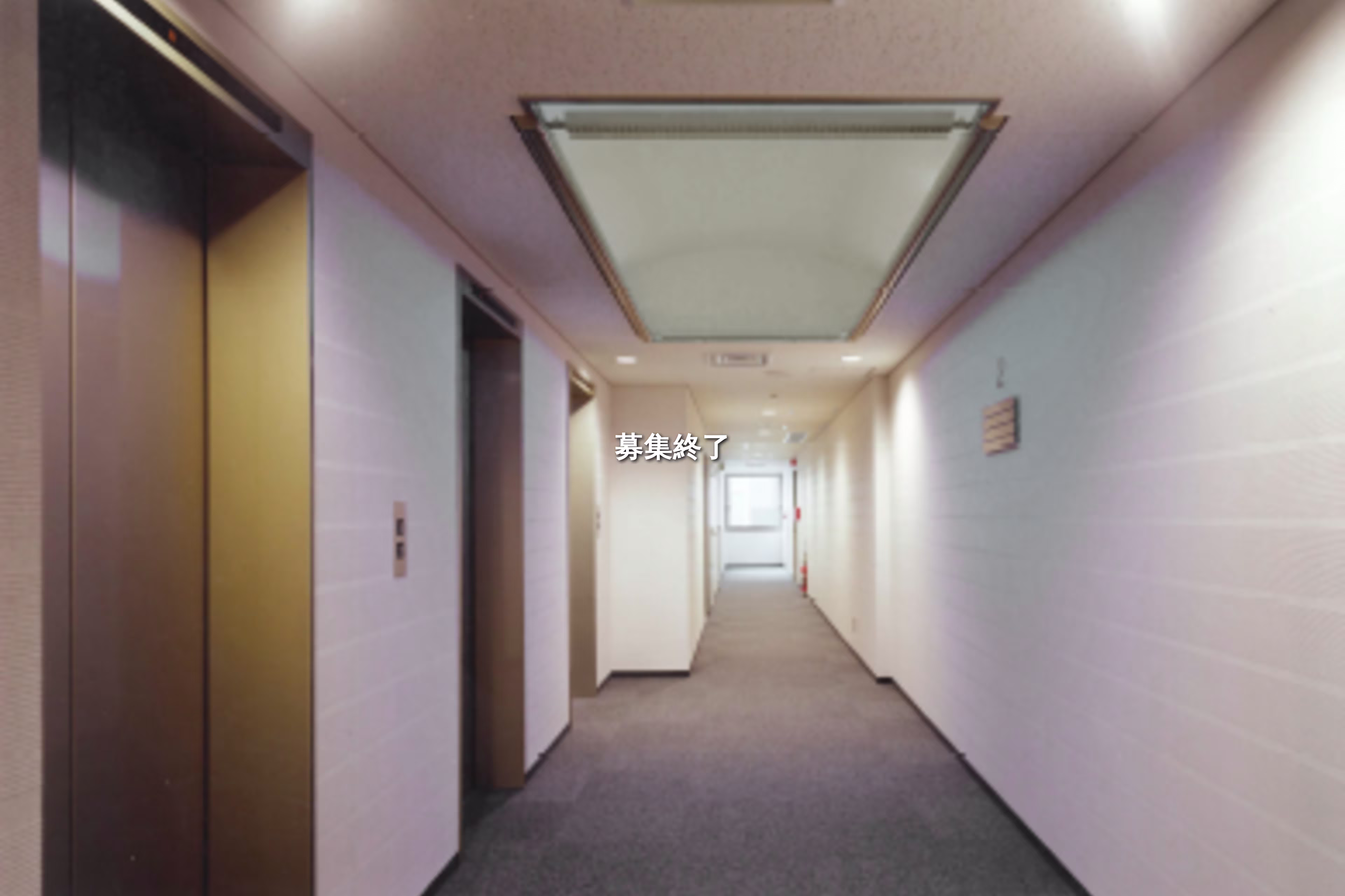 橋弁慶町227