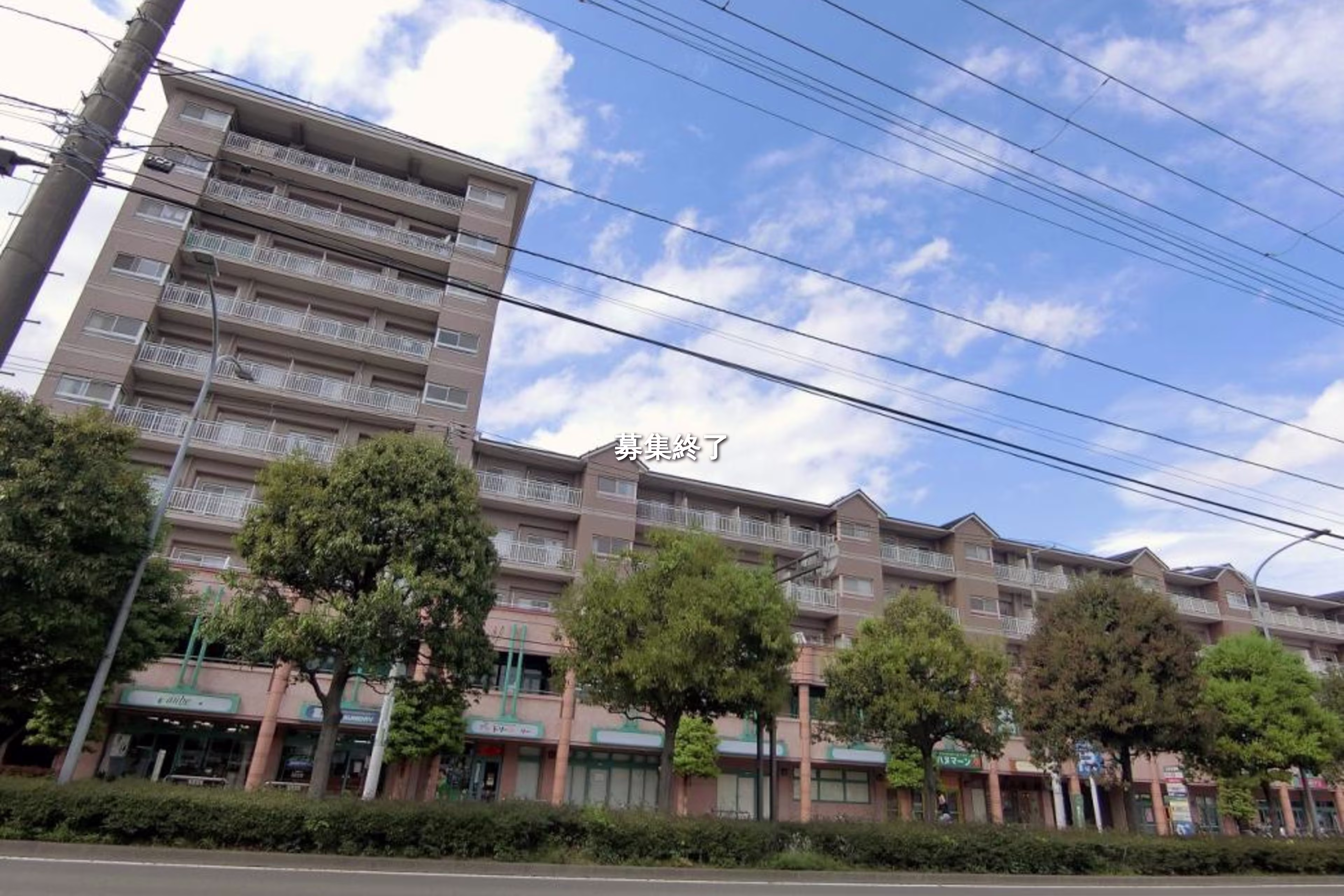 上杉5-1-1