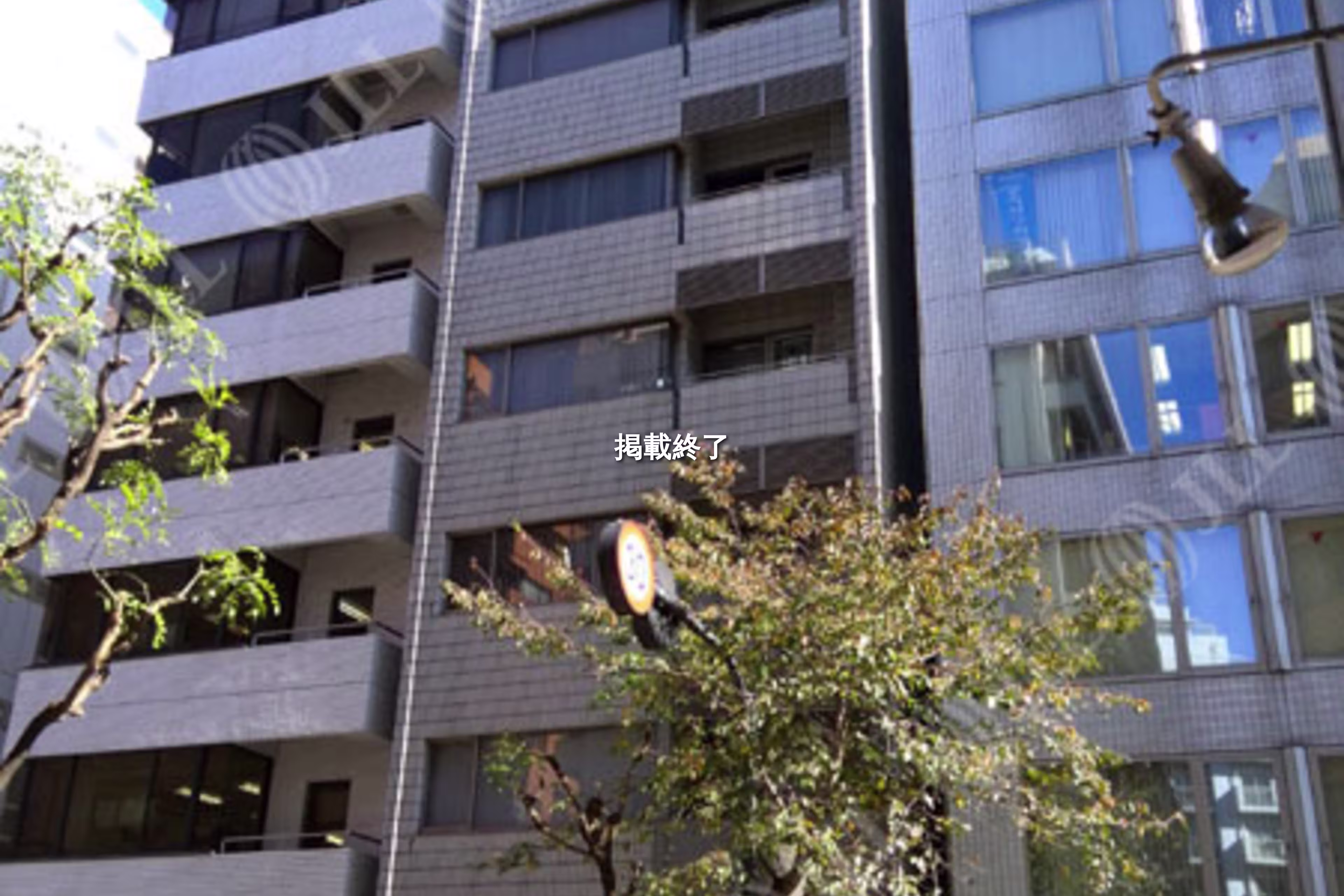 隼町3-19