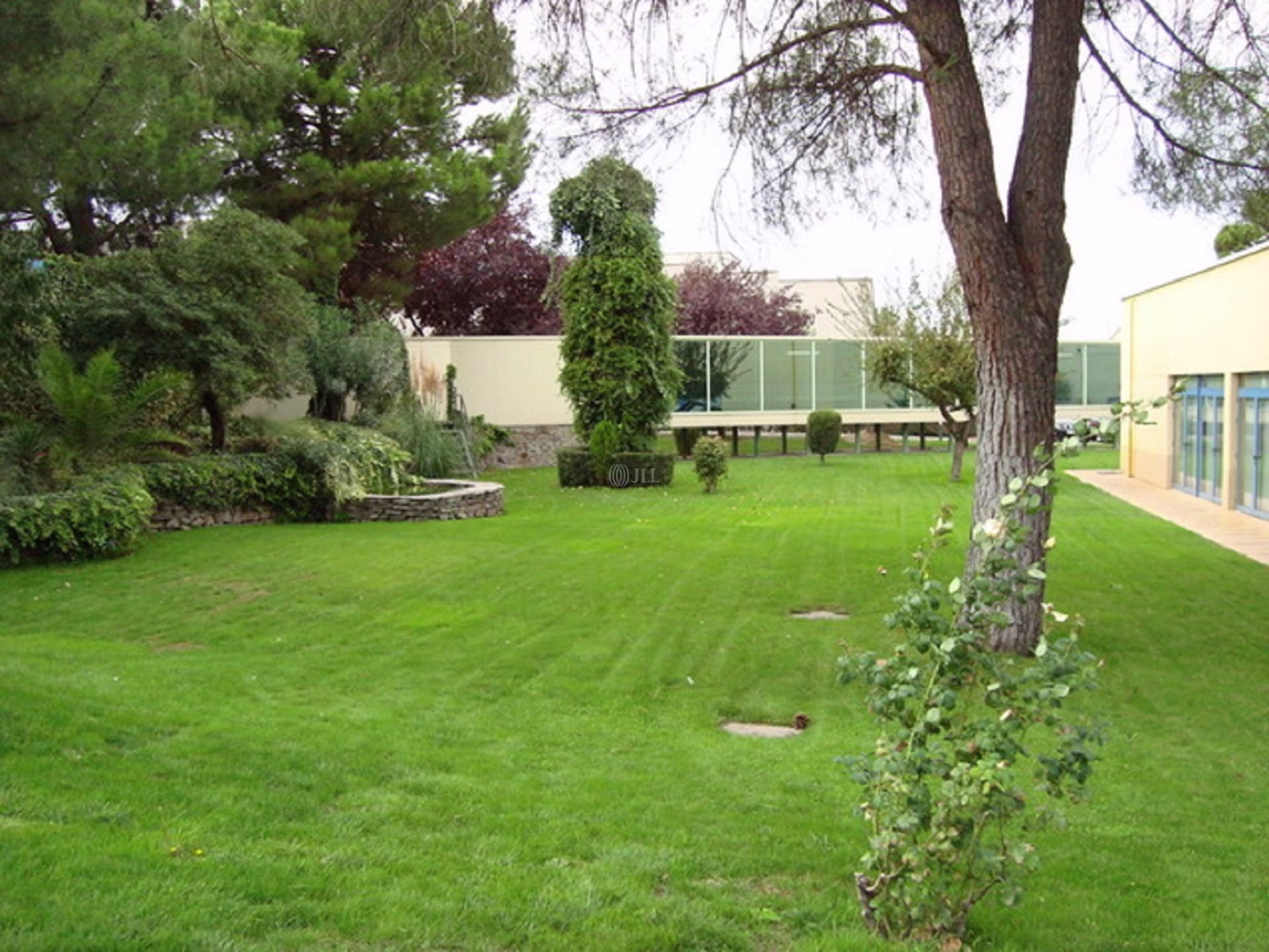 San Rafael 3