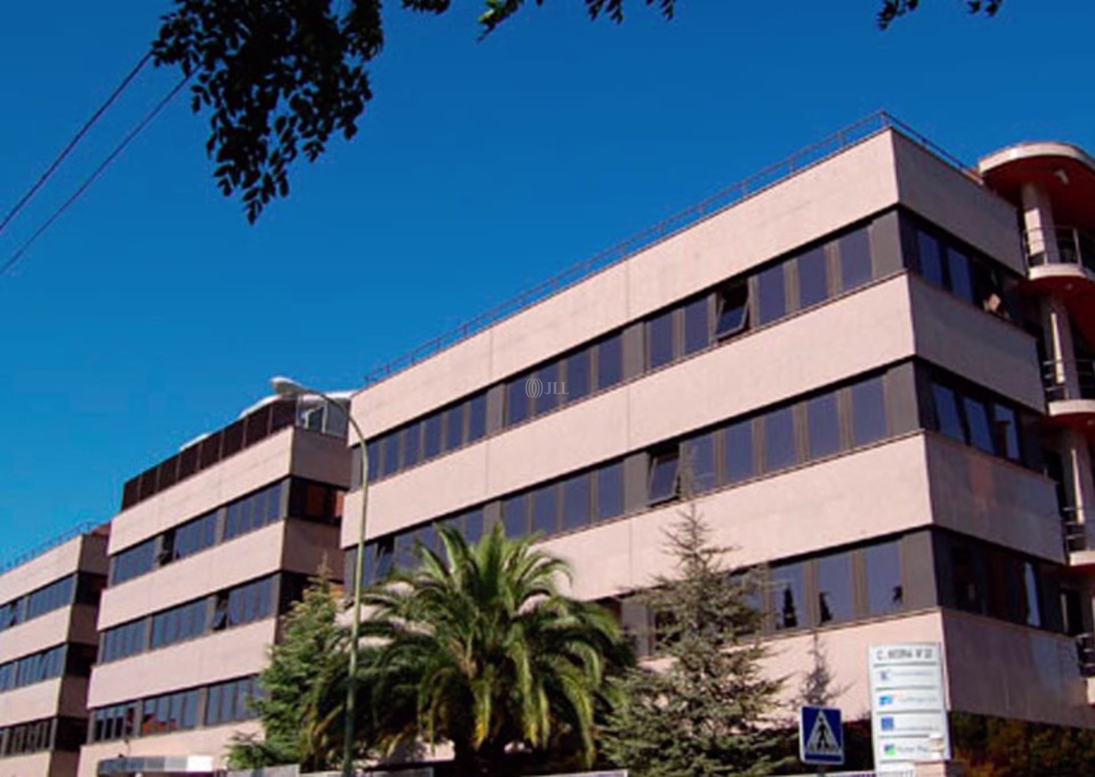 Mesena 22