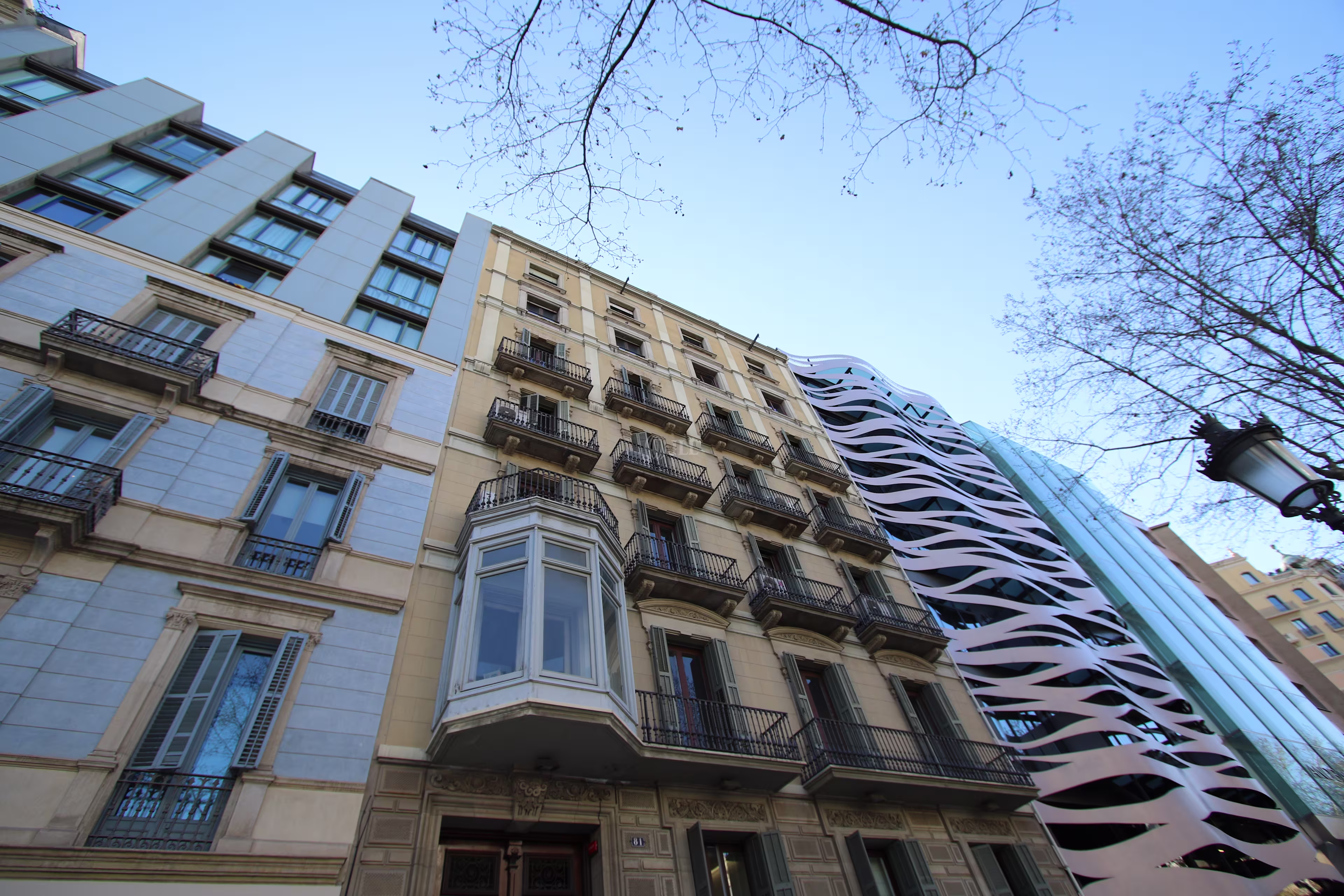 Gràcia 81