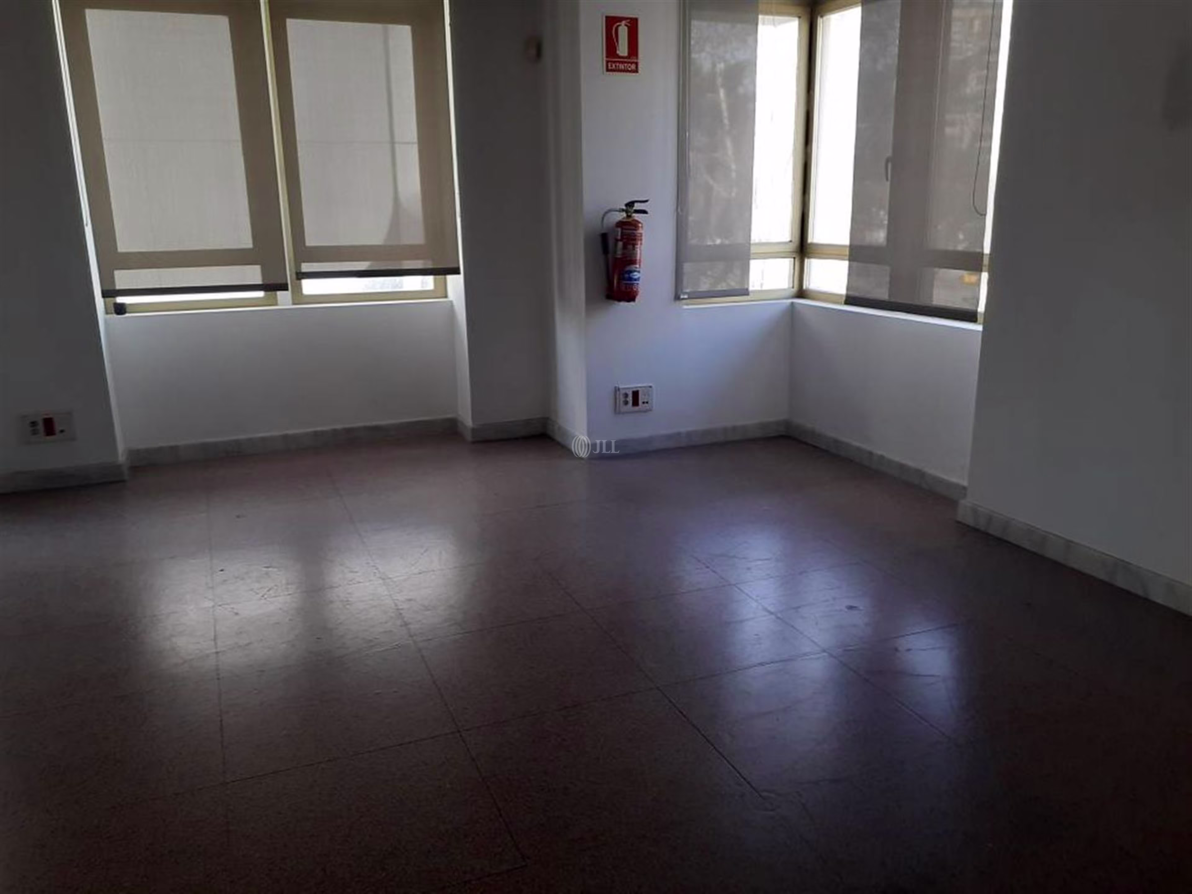 Diagonal 523