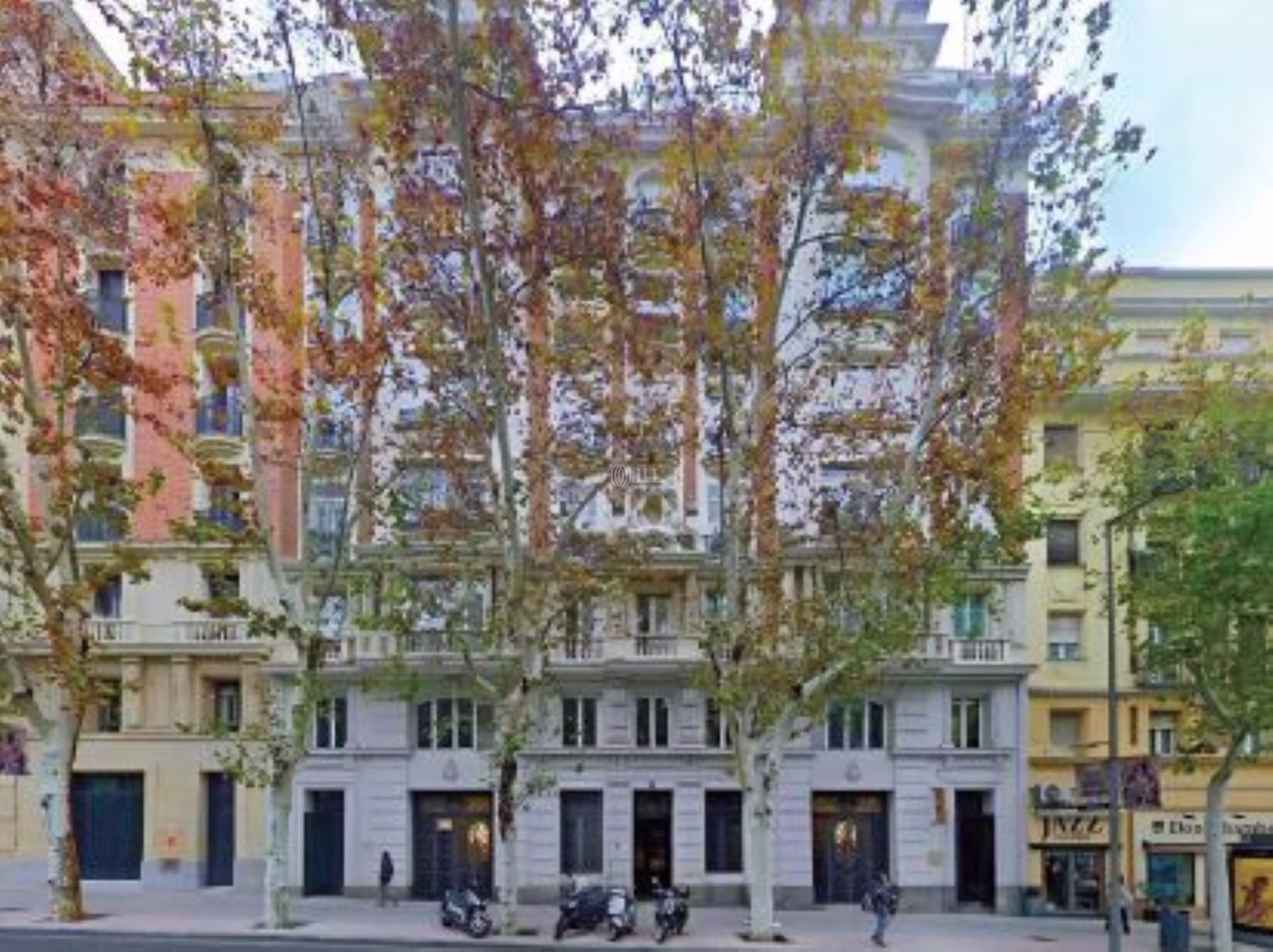General Martínez Campos 21