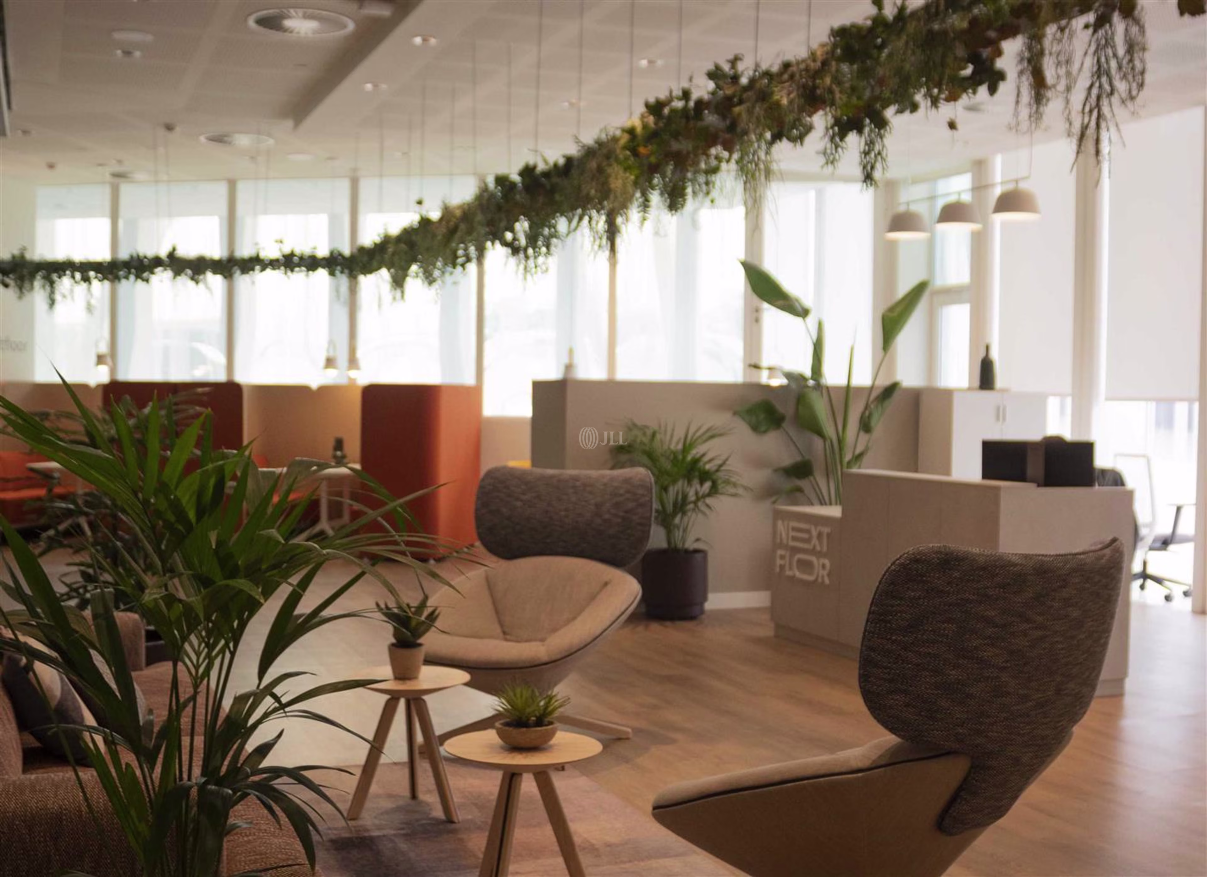 Ernest Lluch i Martín 5