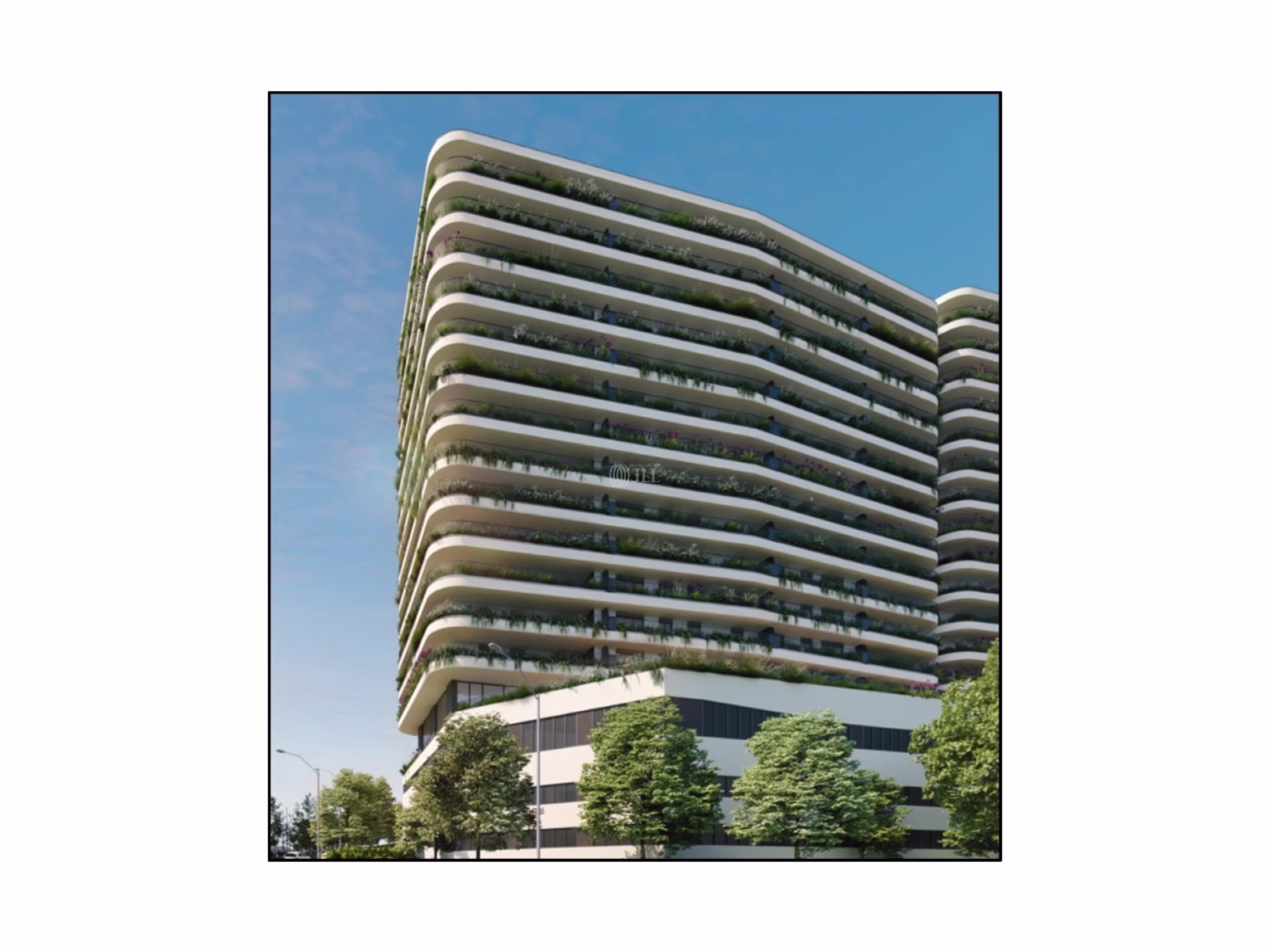 Rua Amadeu de Sousa Cardoso