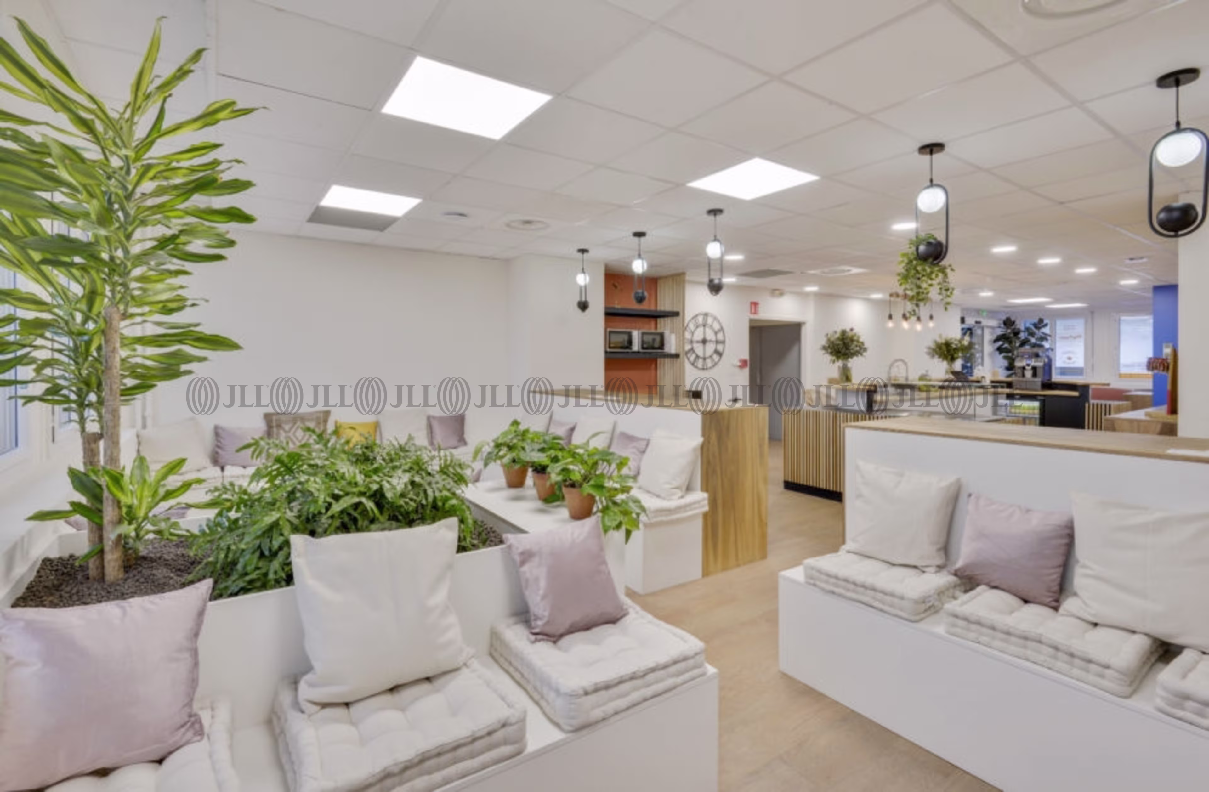 25 RUE NEGRESKO