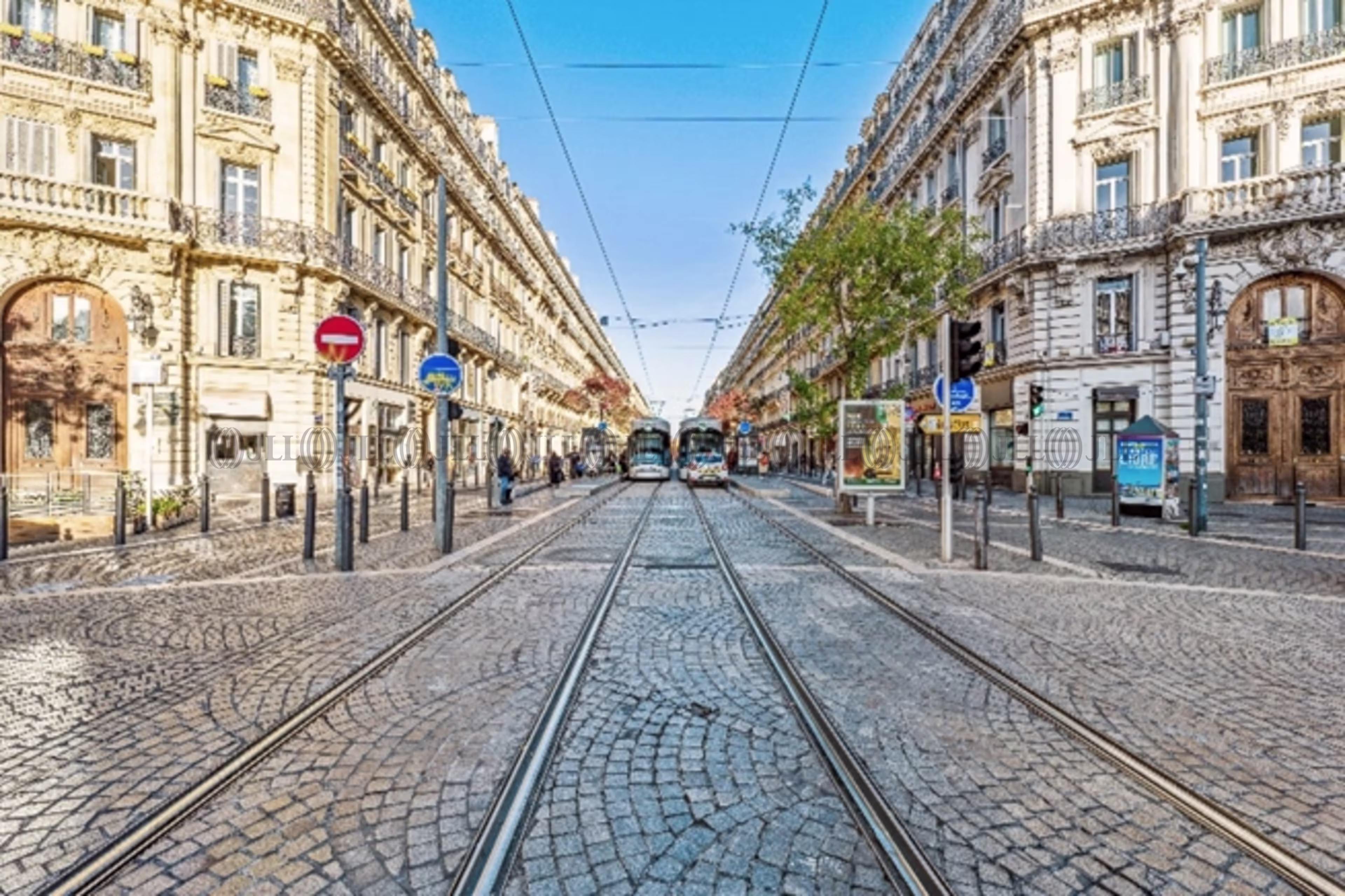  RUE DE LA REPUBLIQUE