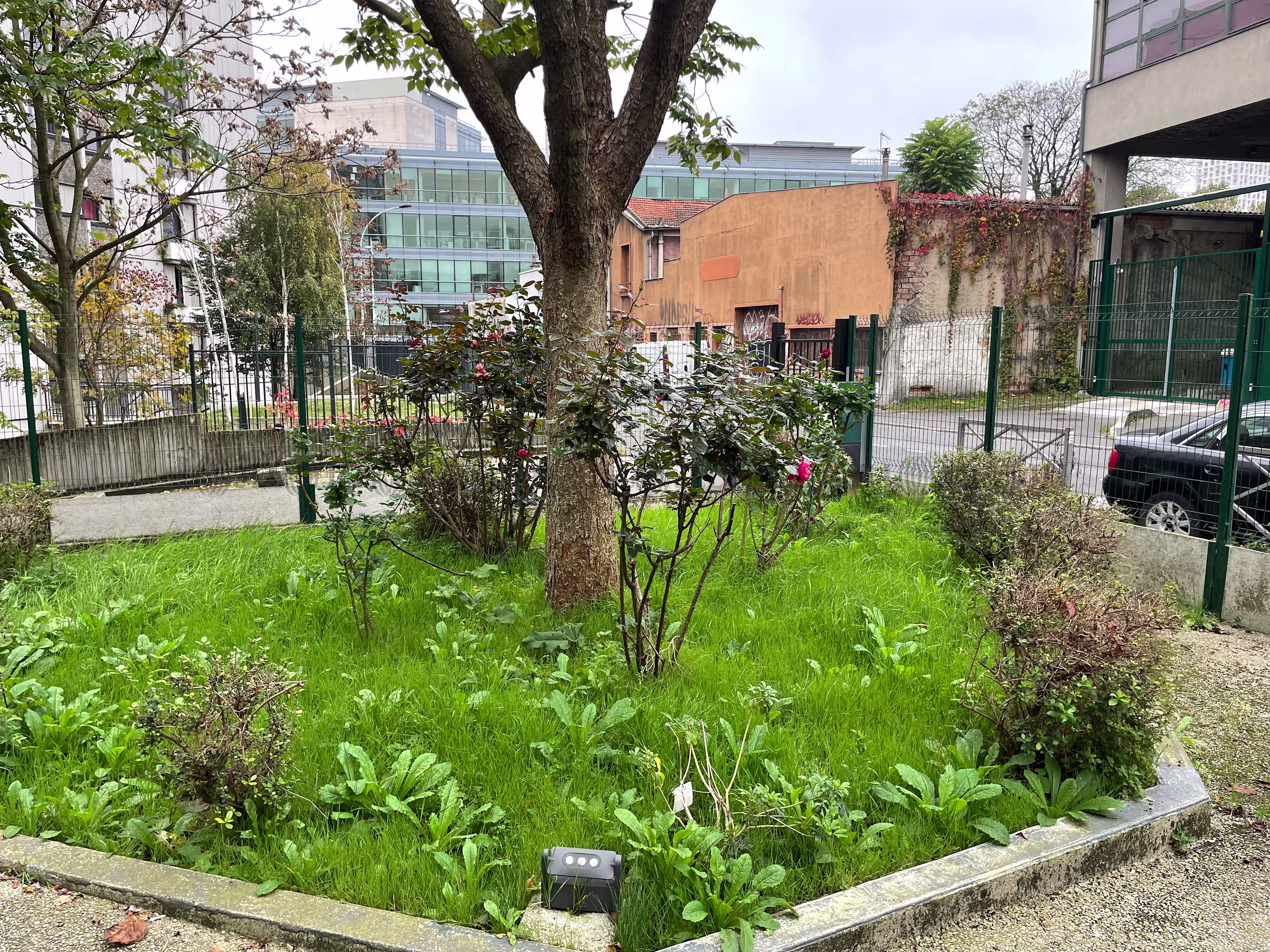 55 RUE DU LIEUTENANT THOMAS