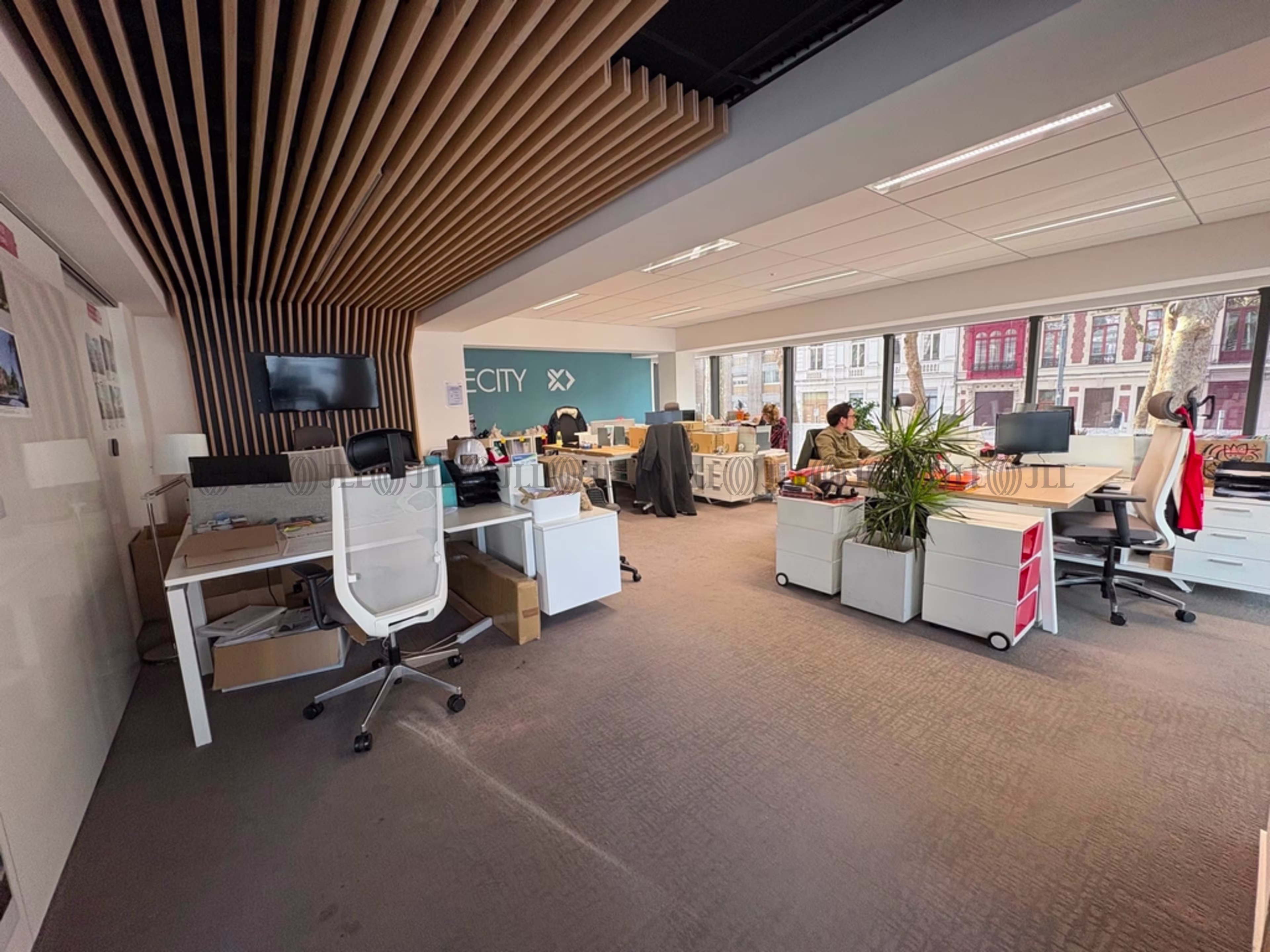 217 BOULEVARD DE LA LIBERTE