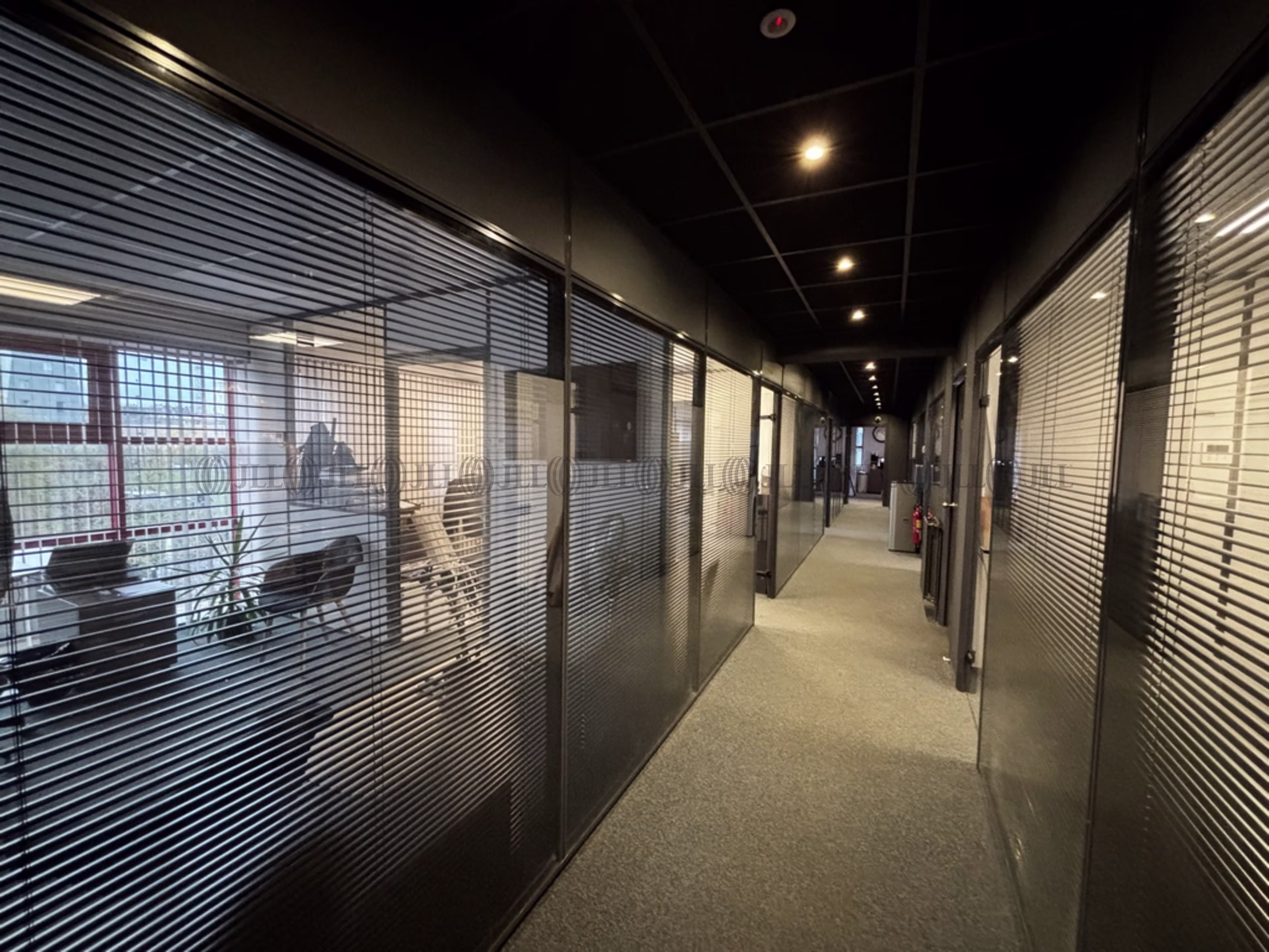 12 RUE DE LA PROCESSION