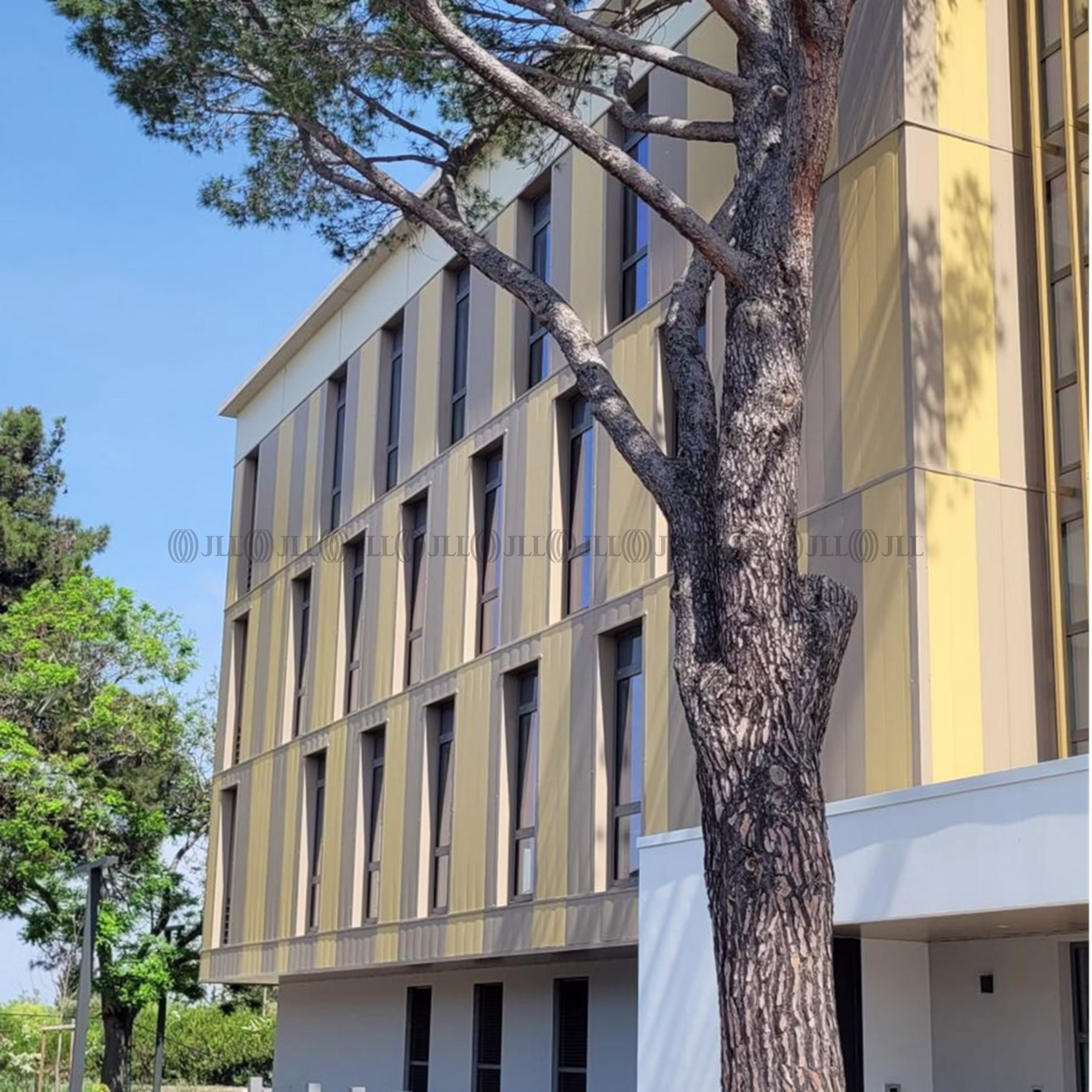 230 RUE FREDERIC JOLIOT