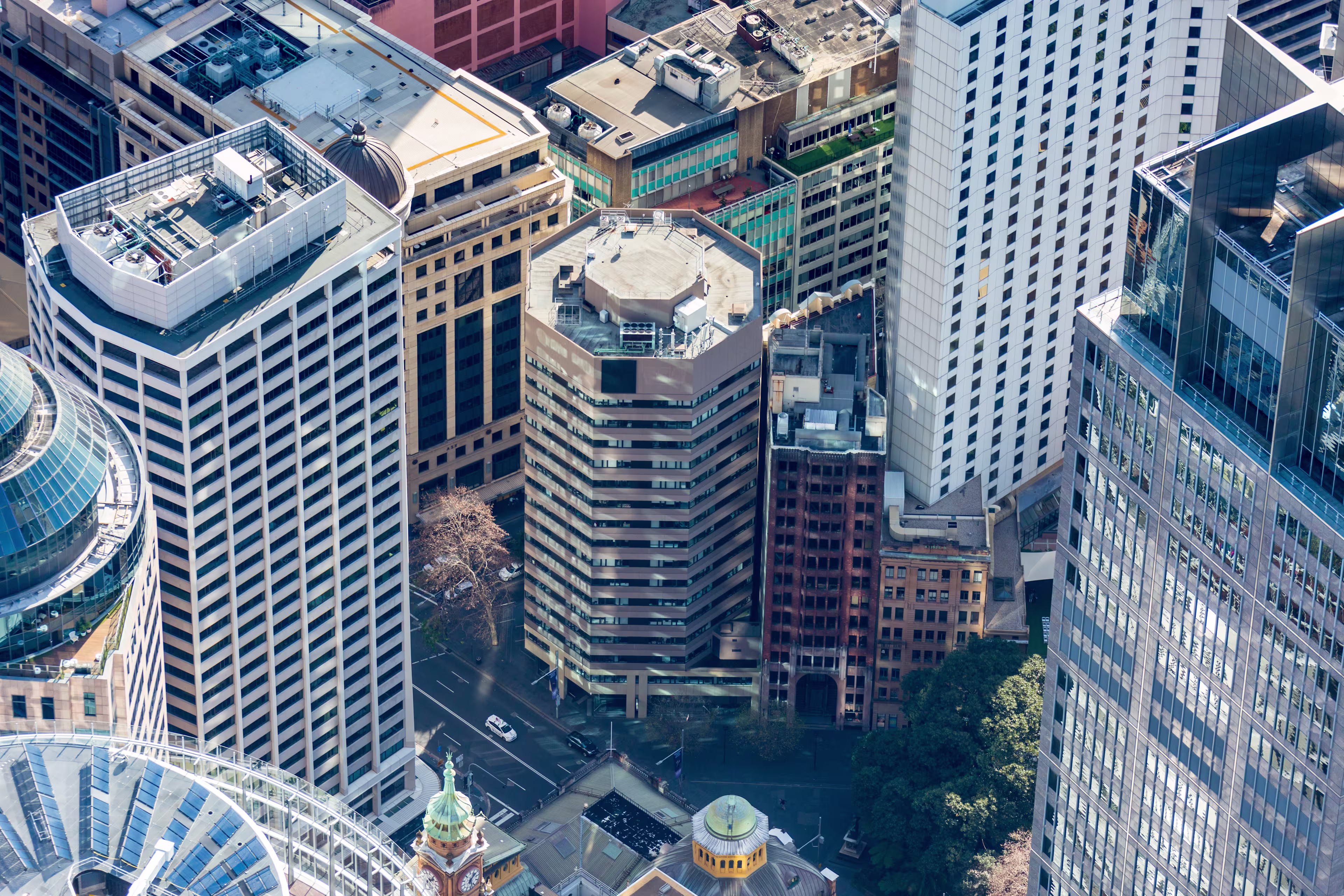 50 Pitt Street