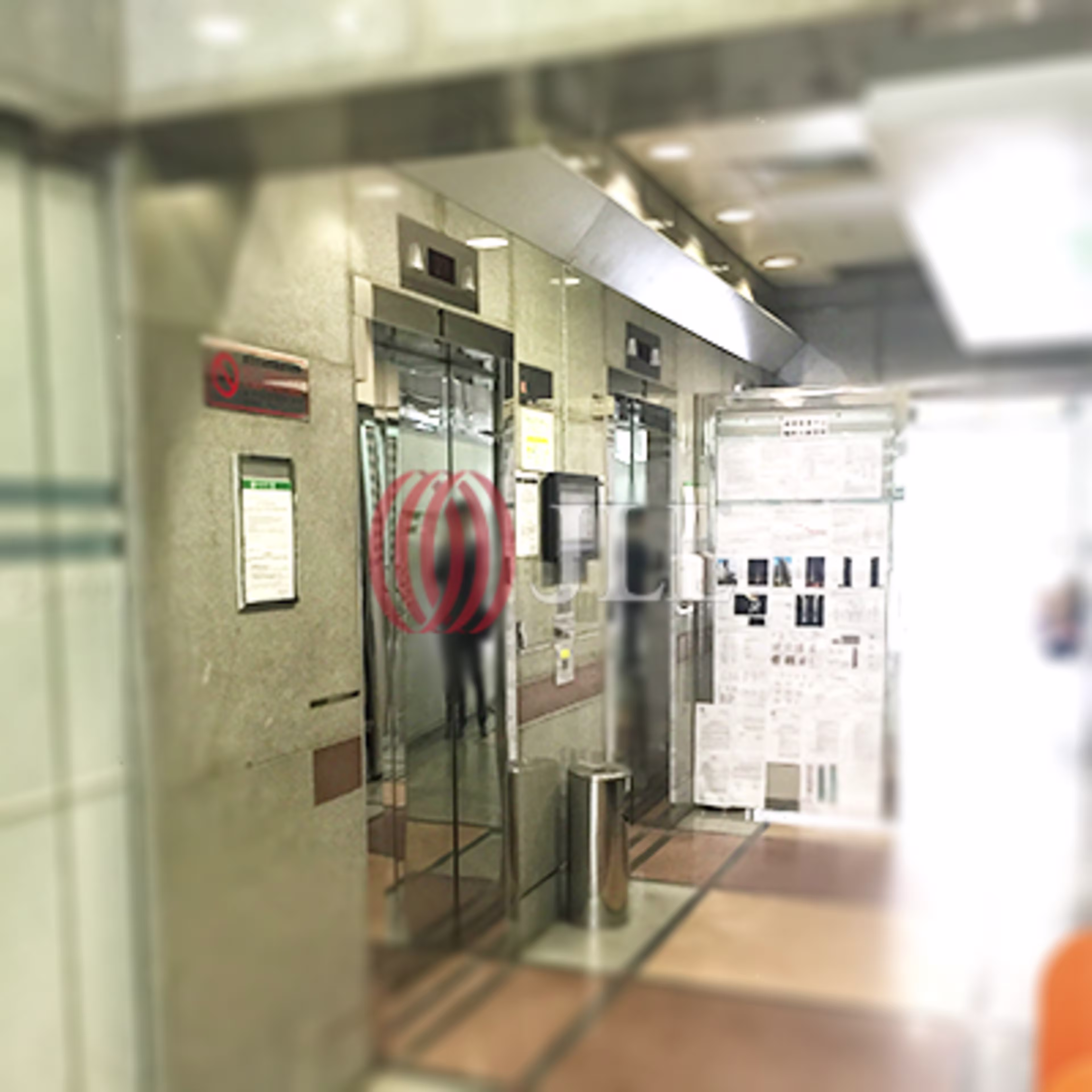 威利麻街6 號
