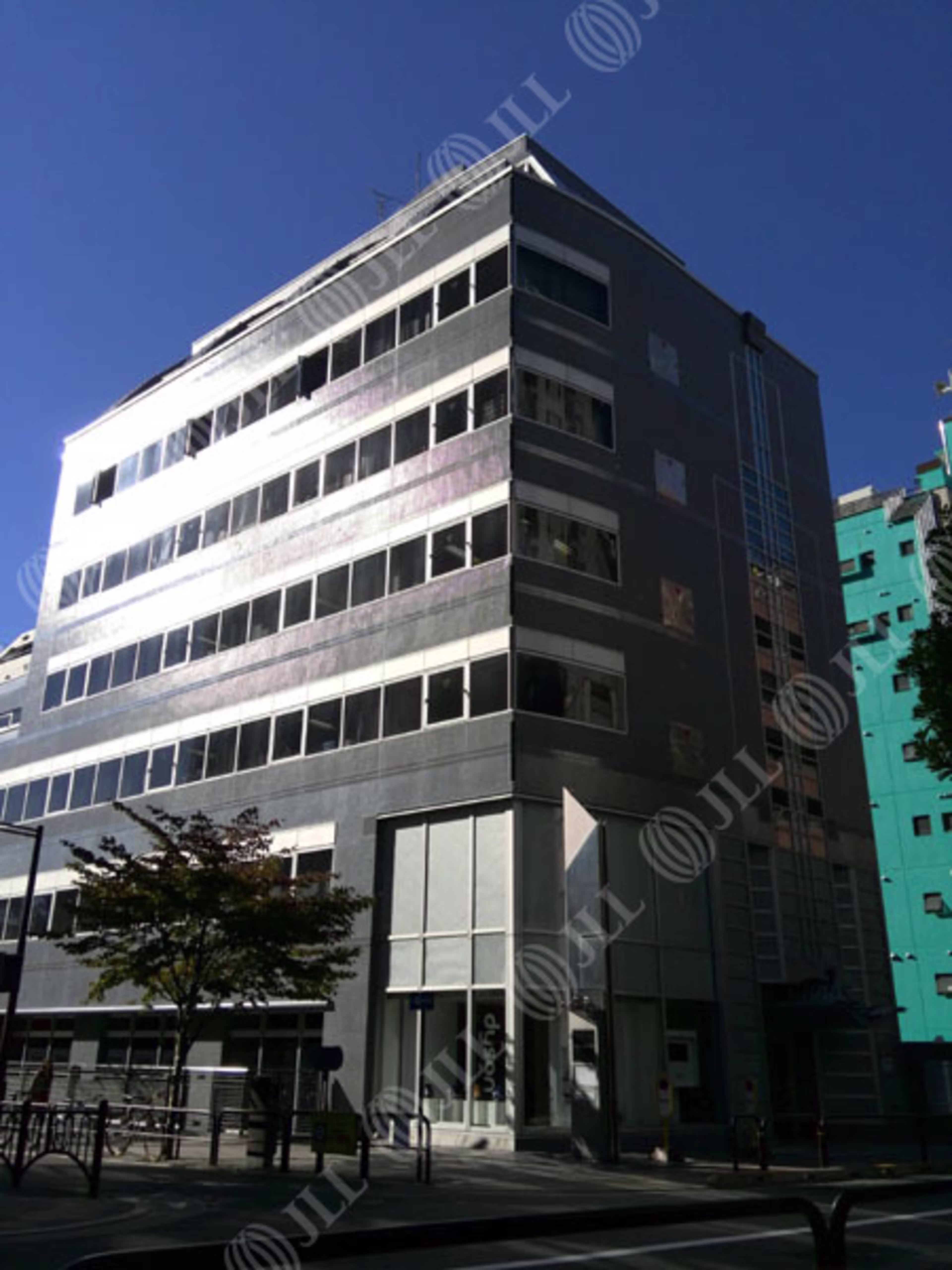 隼町2-19