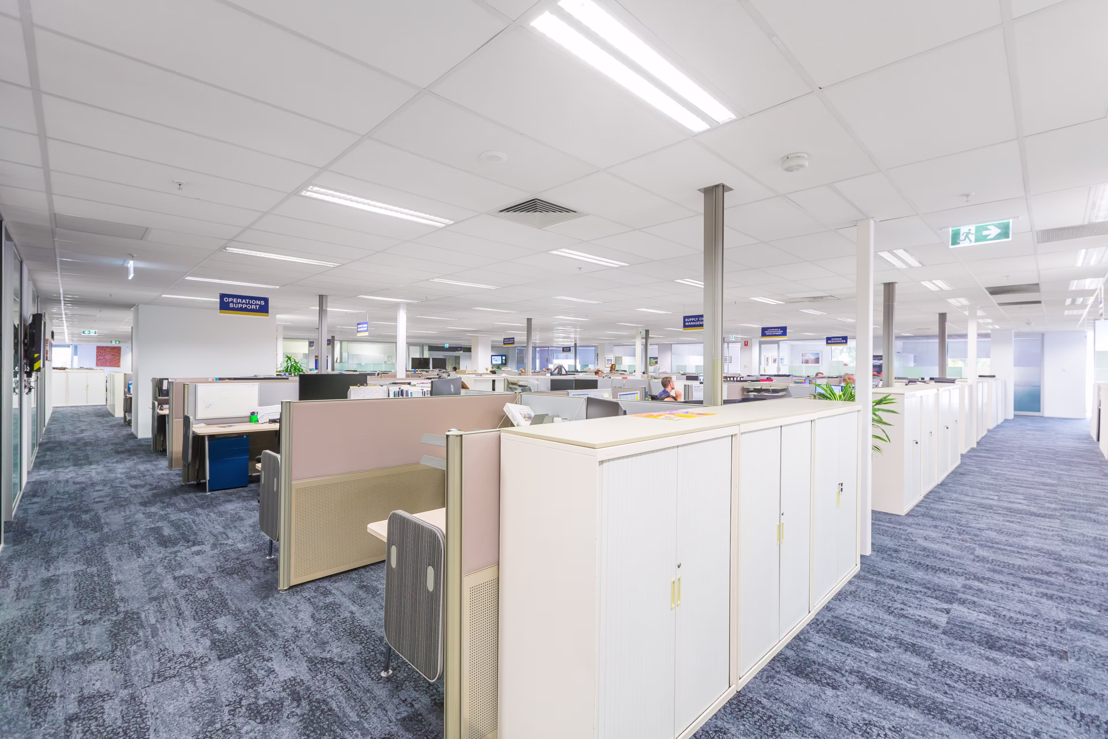 388 Hay Street