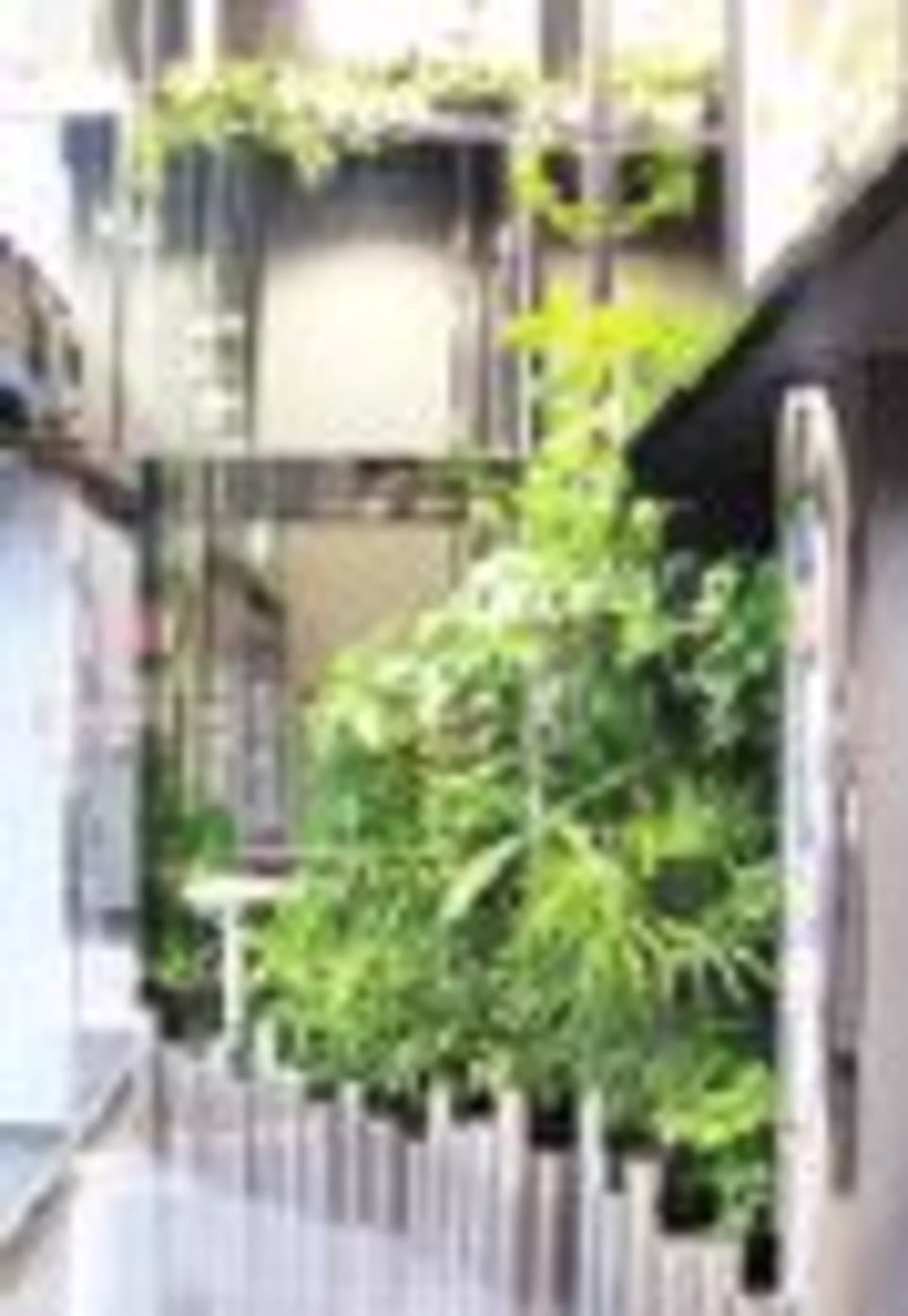 神田小川町2-2