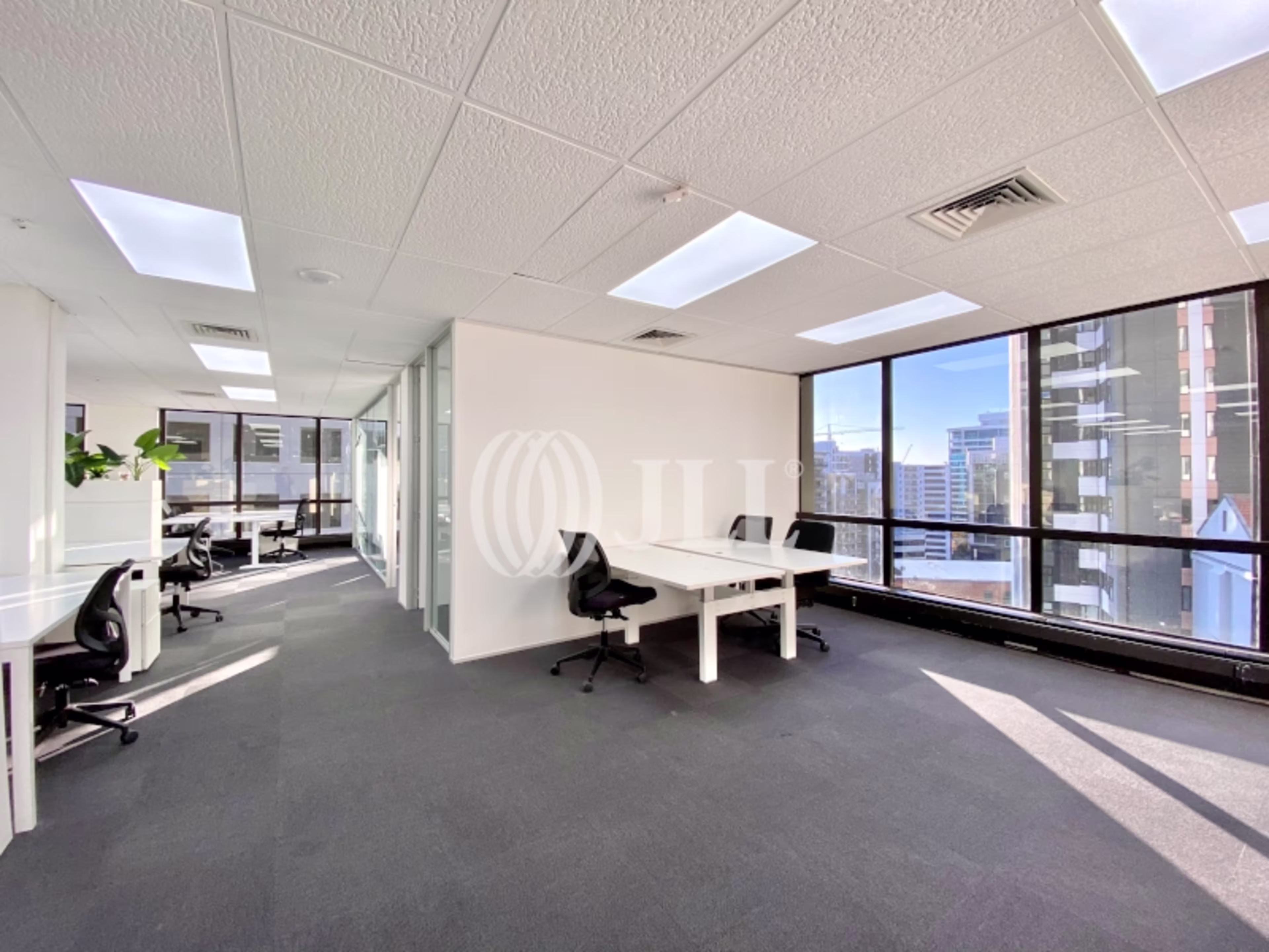 57 Symonds Street