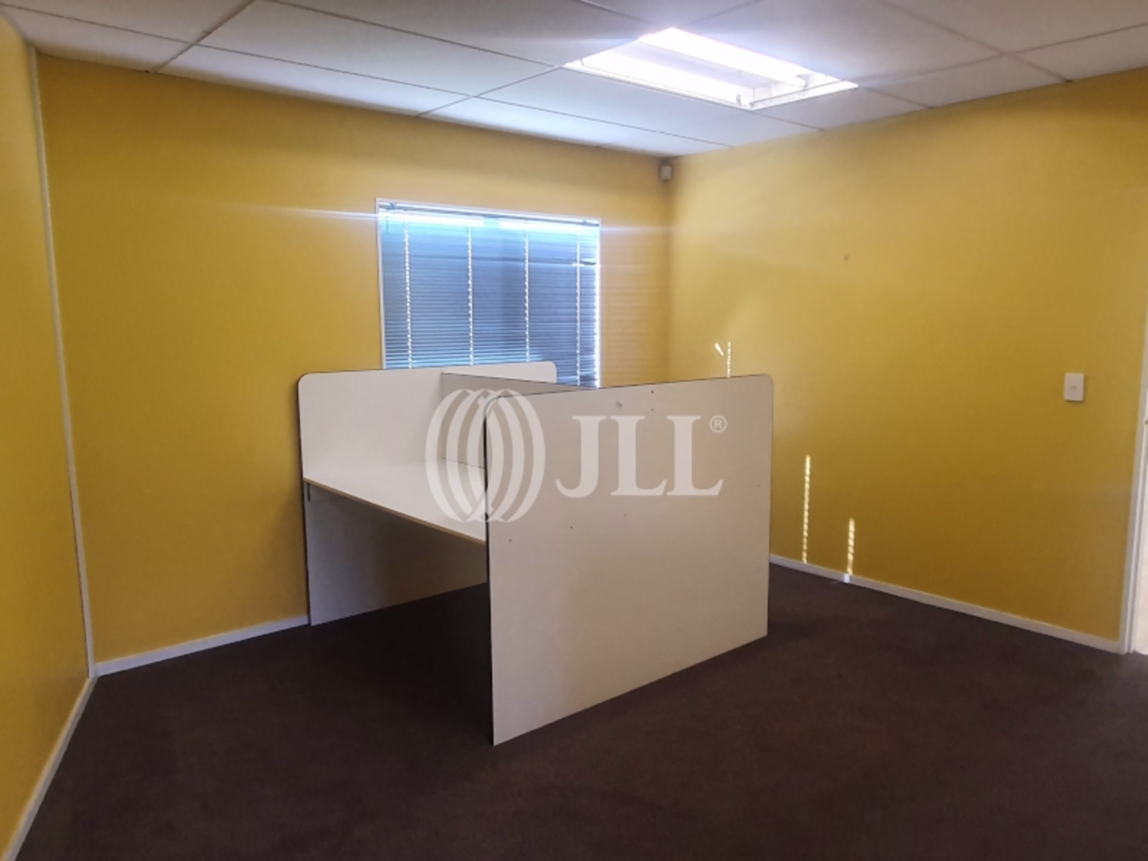 3/1 Halls Place