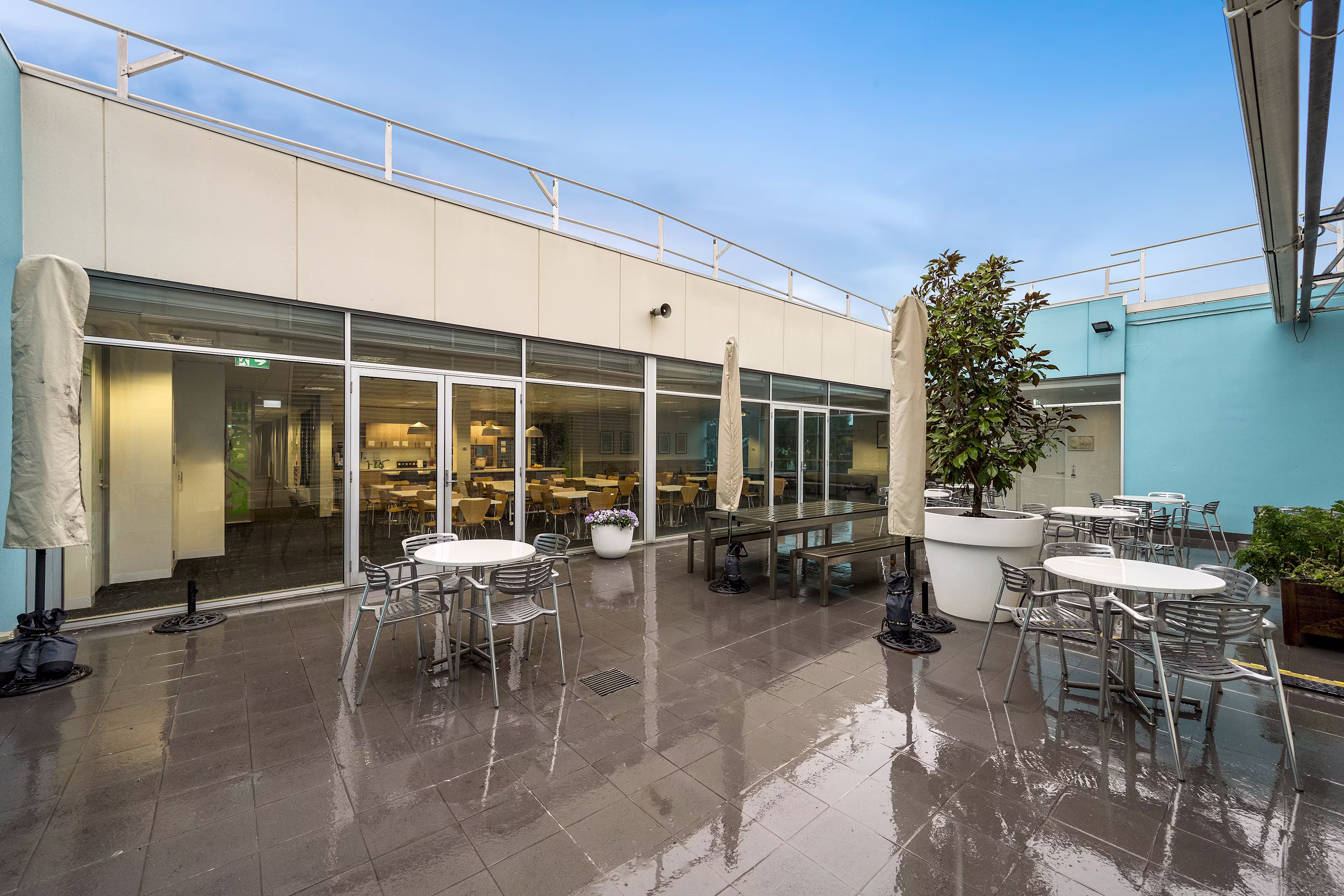 8 Redfern Road