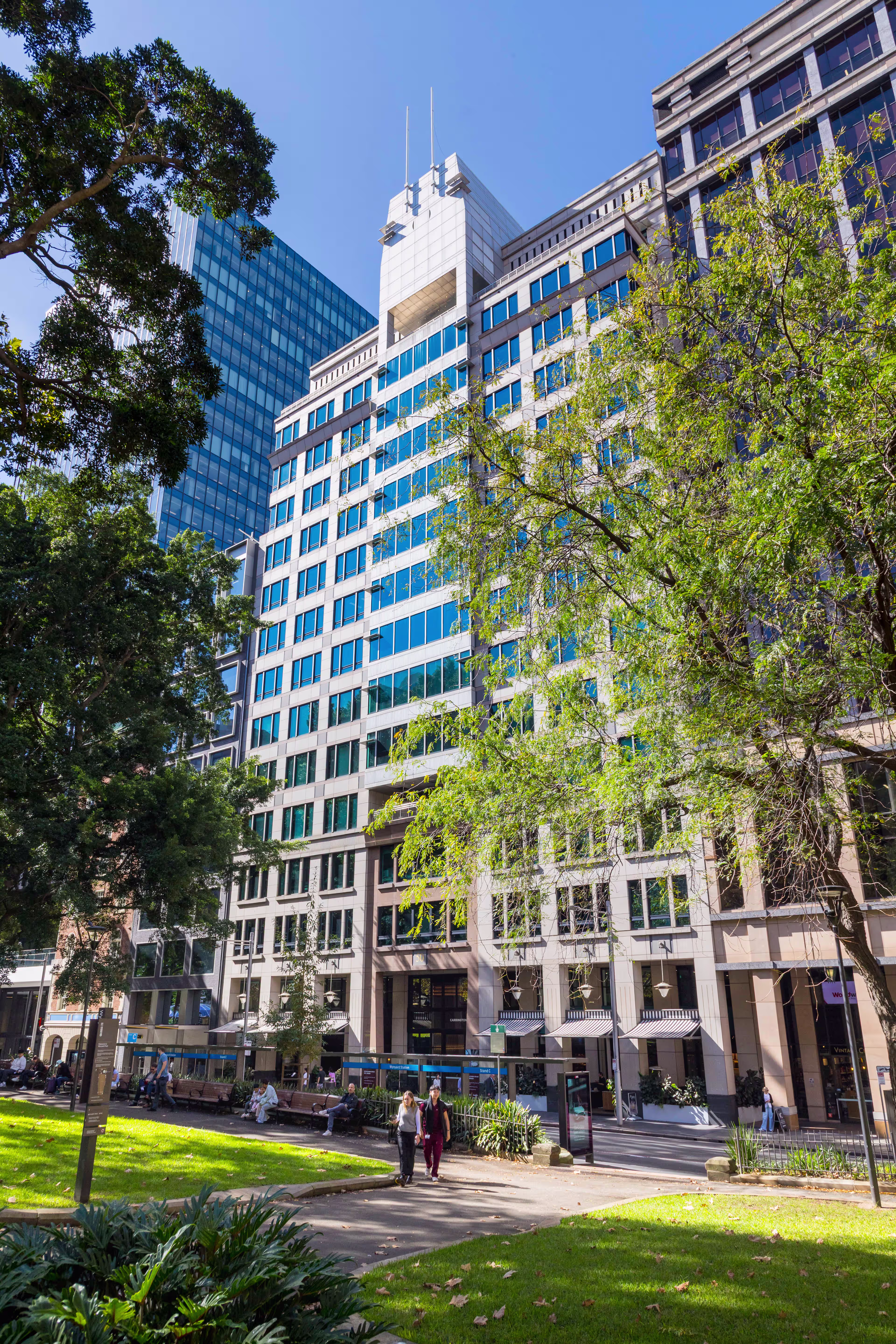 50 Carrington Street