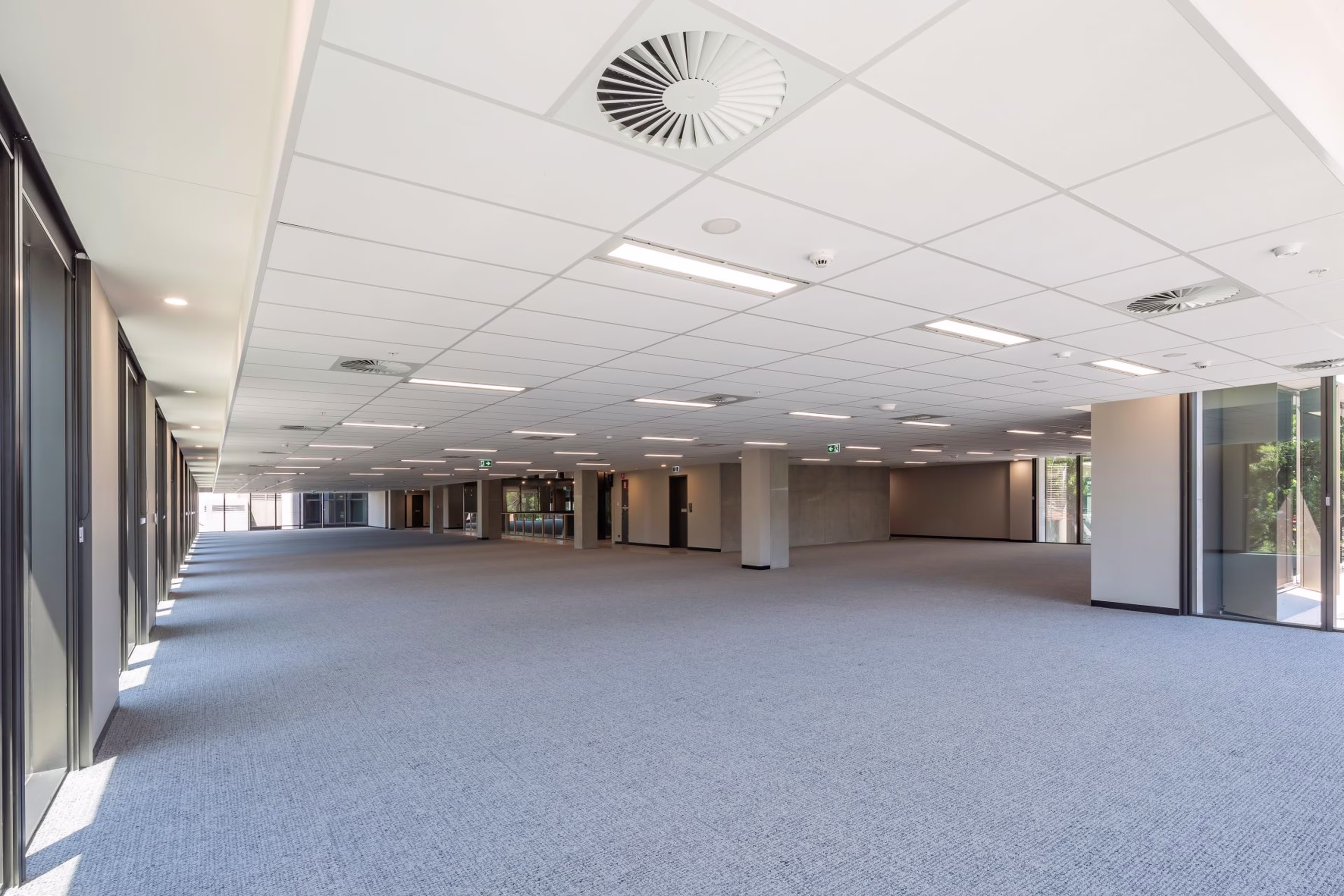 50 Belmore Street