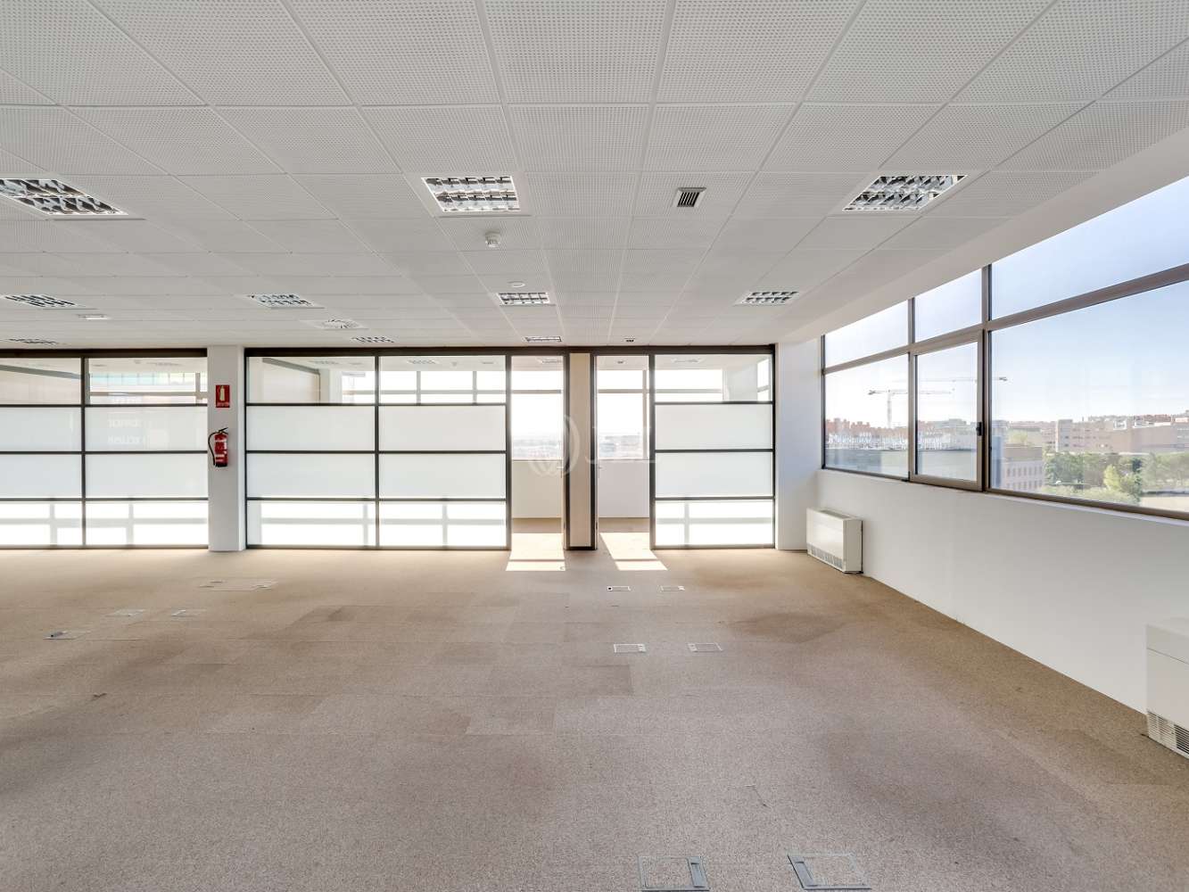 Oficina Madrid, 28042 - Sur del Aeropuerto de Barajas 20