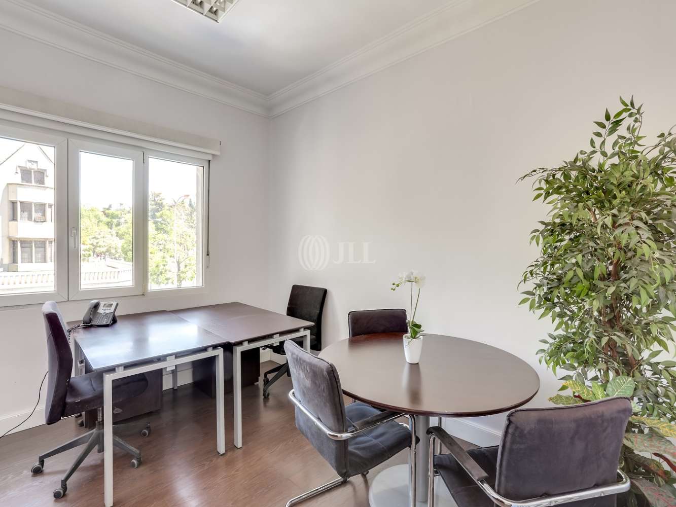 Office Madrid, 28006 - Coworking - Serrano 93