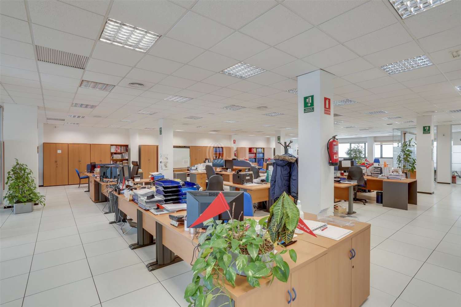 Oficina Madrid, 28031 - P.E. Pérez-Iglesias. Edif 1B