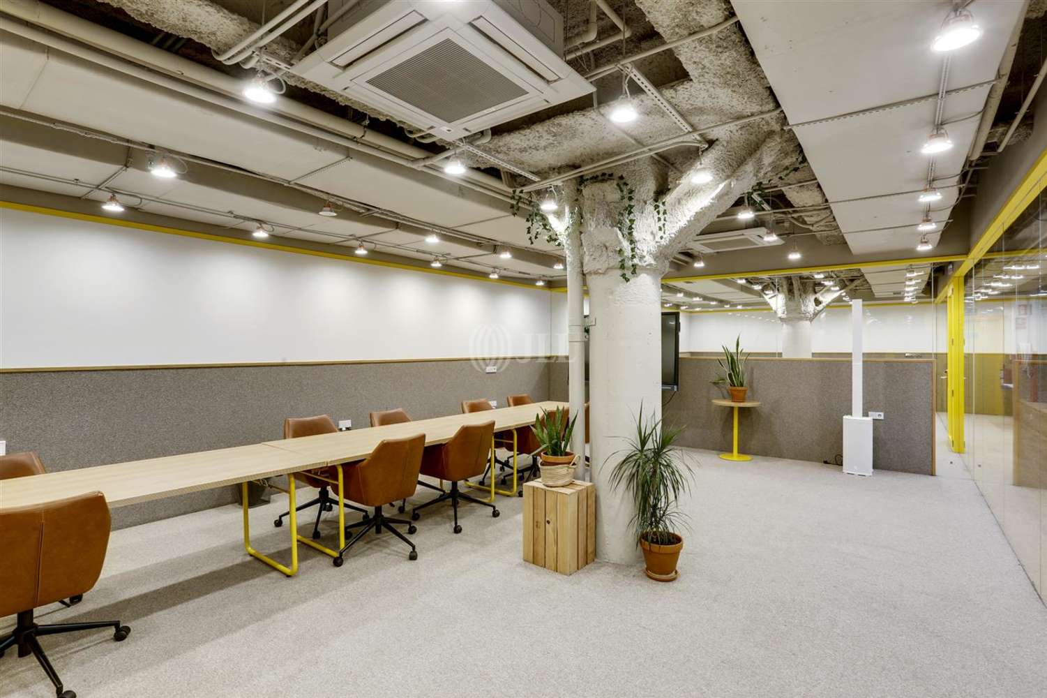 Office Madrid, 28020 - Coworking - Picasso