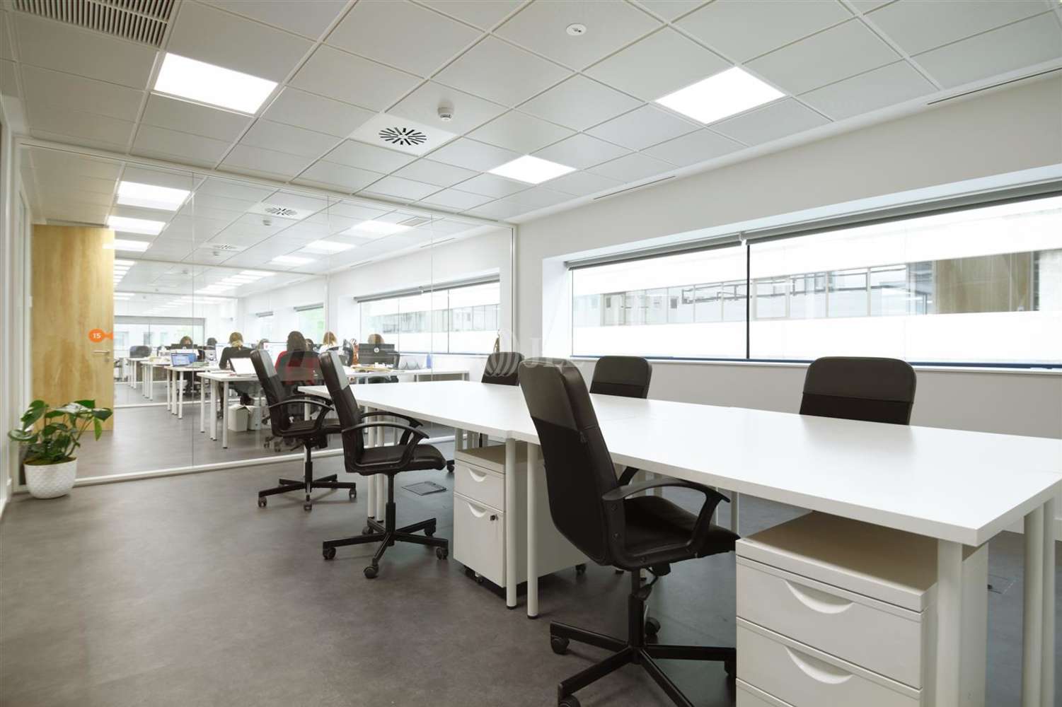 Office Madrid, 28016 - Coworking - Torregalindo
