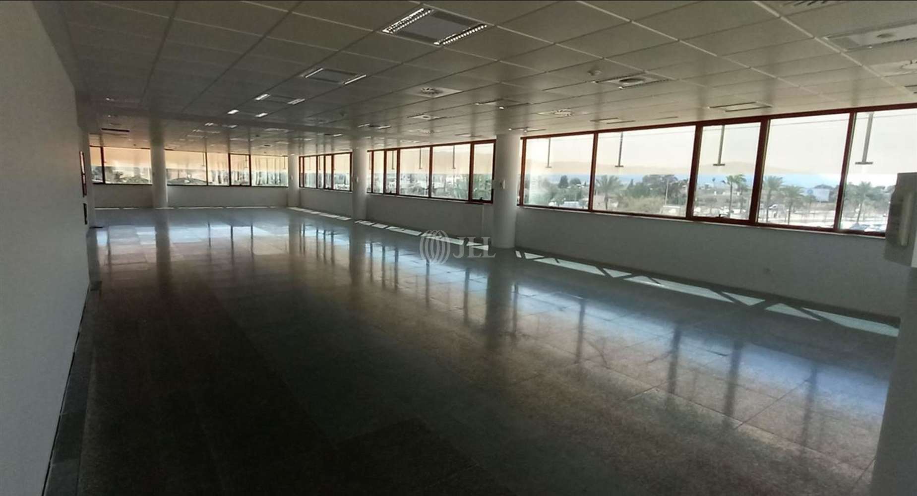 Office Murcia, 30011 - Los Dolores 11