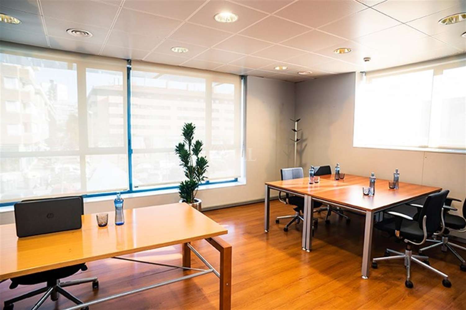 Office Girona, 17005 - Coworking - Girona