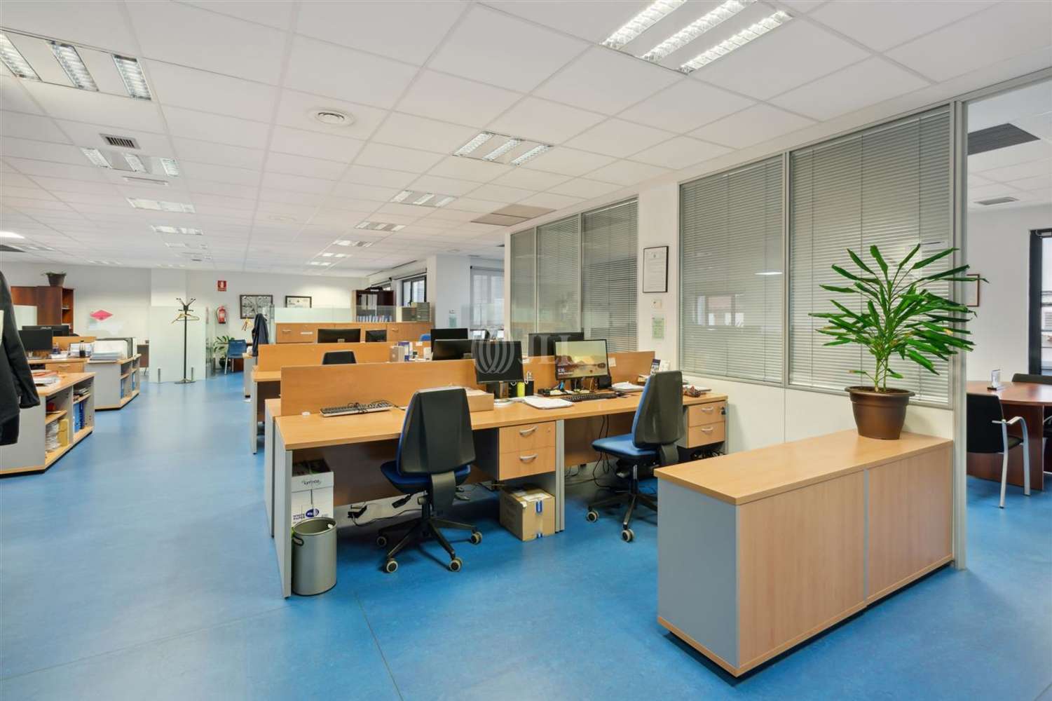 Office Madrid, 28003 - Robledillo 9
