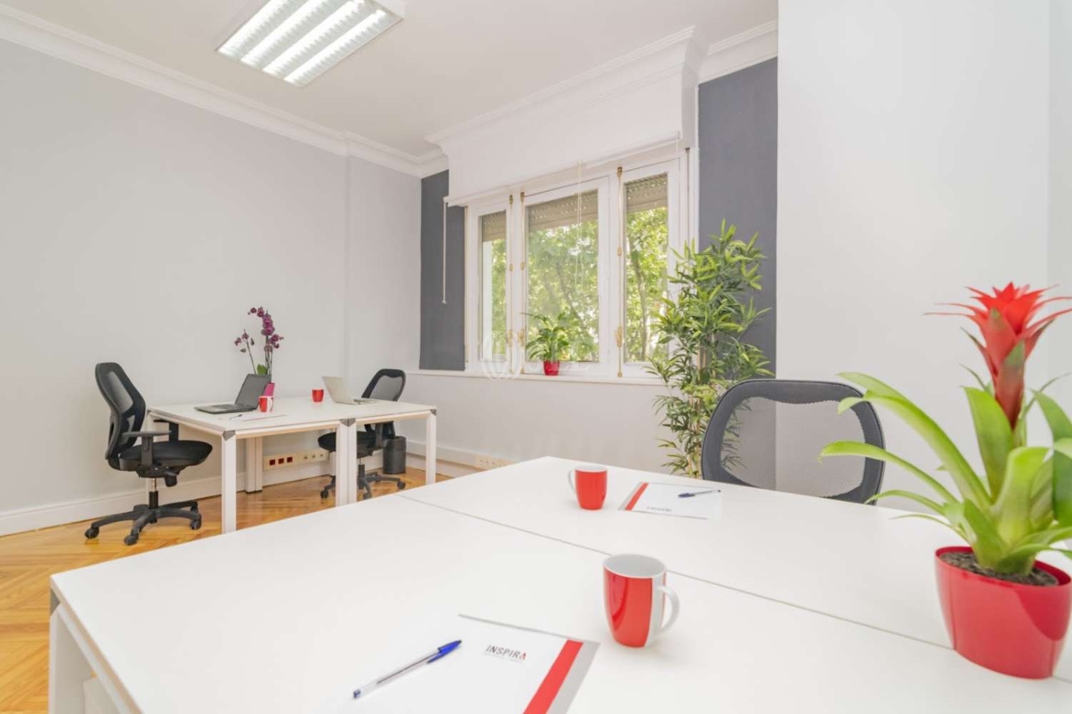 Office Madrid, 28003 - Coworking - Abascal