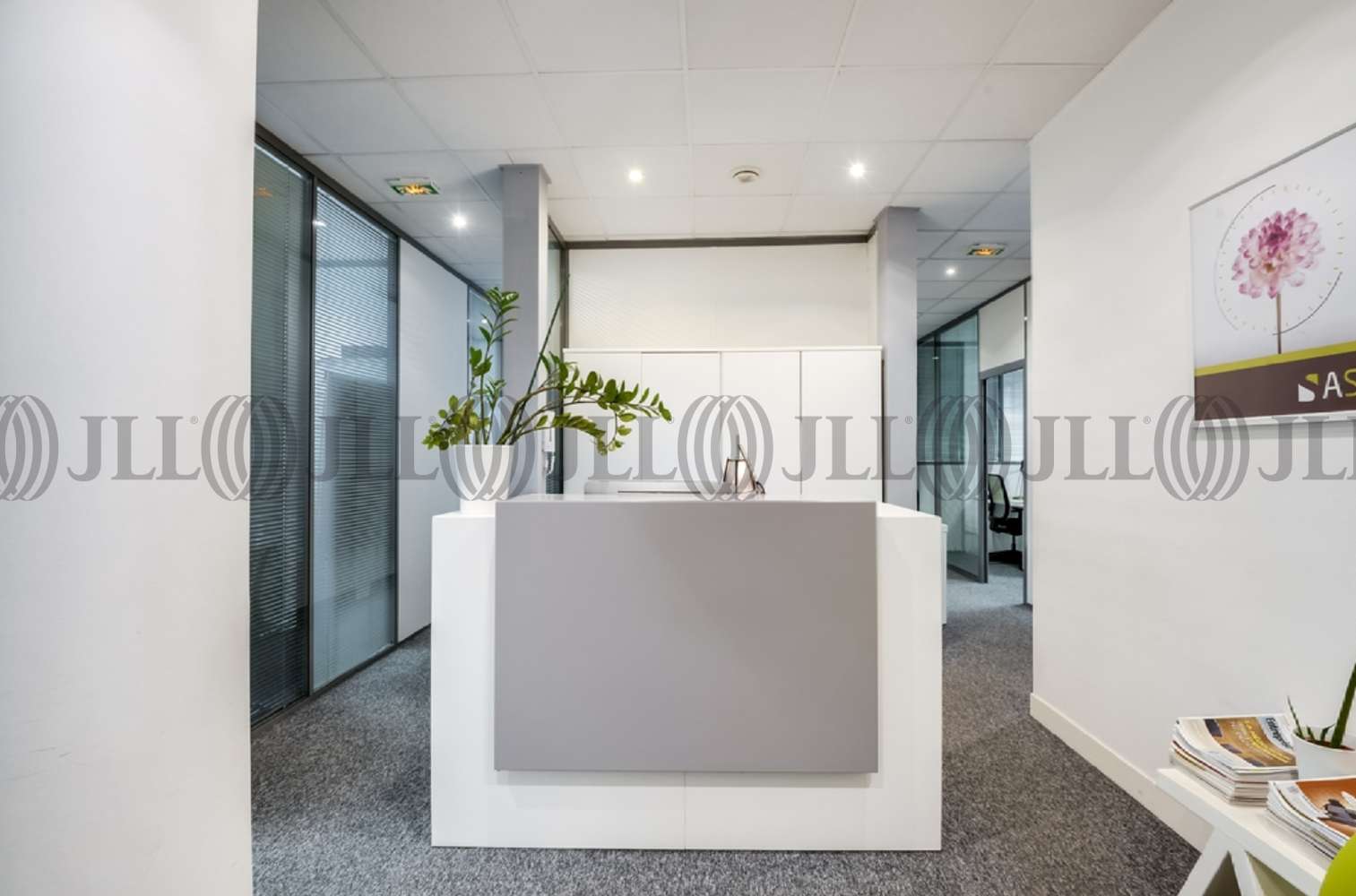 Bureaux Paris, 75006 - 147 RUE DE RENNES