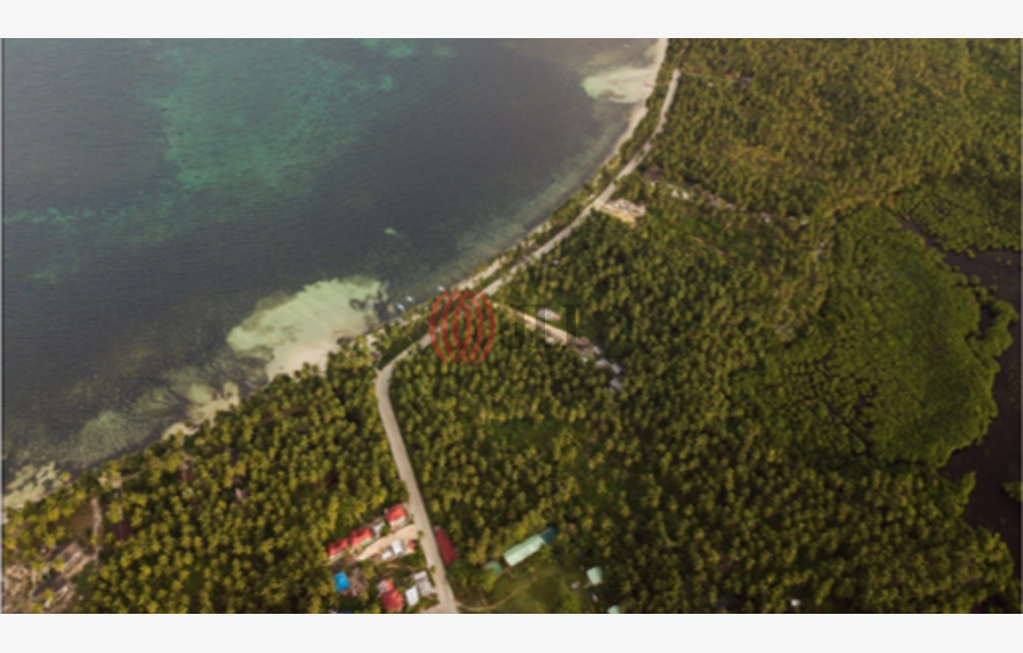 1.7 Hectare Land in Siargao JLL PH