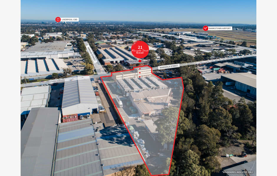 21 Marigold Street 21 Marigold Street, Revesby properties JLL