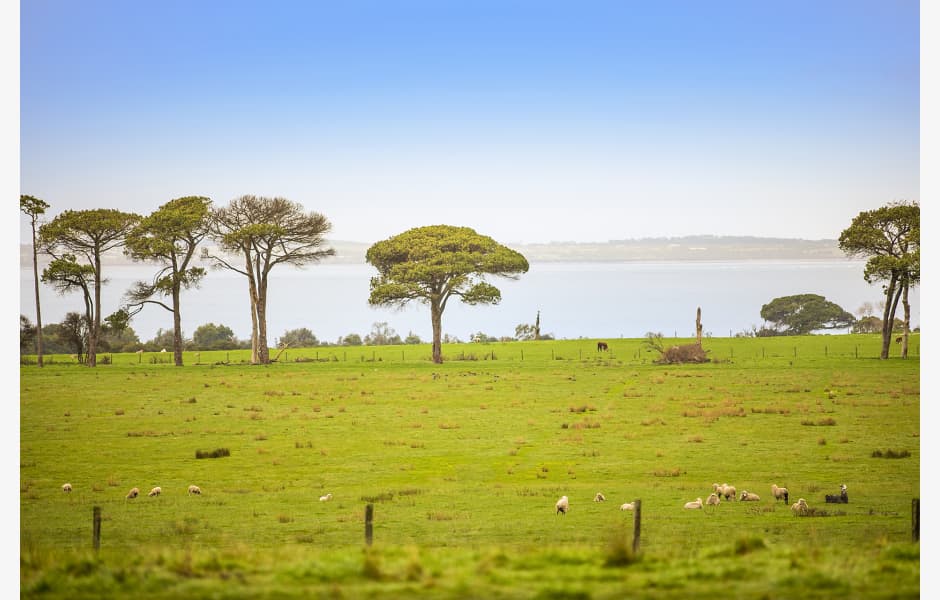 143-Nepean-Highway,-Dromana-Office-for-Expressions-of-Interest-6186-tx1wgh8402mkpcyst1kl_JLL_DROMANA_2118