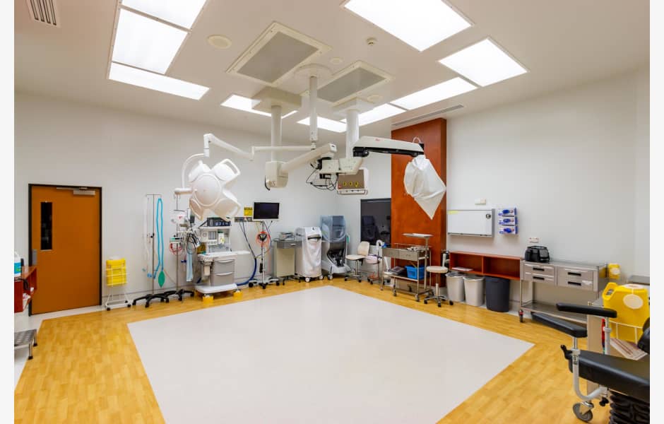 89-91-Willetts-Road-Office-for-Expressions-of-Interest-7222-szruqaqbtji3xkwuo4ev_Email-IMG_1231-HDR