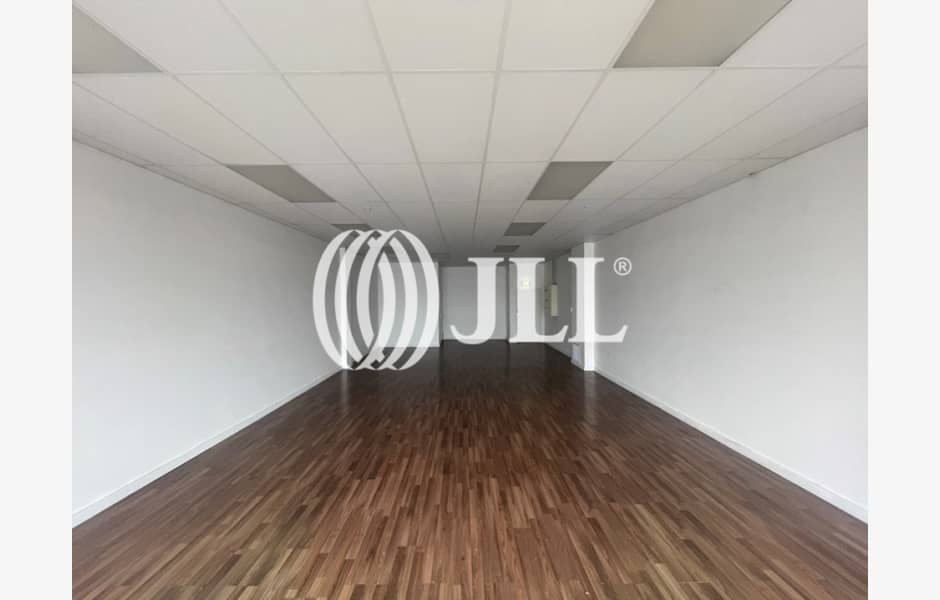 10 Wellington Street 10 Wellington Street, Howick properties