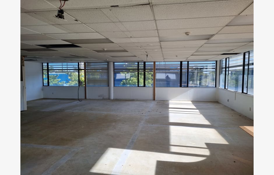 37 Mandeville Street 37 Mandeville Street, Riccarton properties