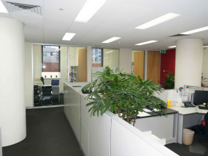 549-Queen-Street-Office-for-Lease-1014-2dcd588c-9033-e711-a029-005056920143_DSC02096