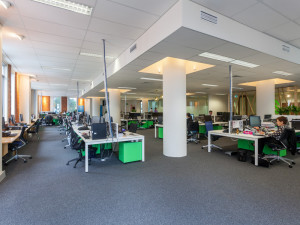 549-Queen-Street-Office-for-Lease-1014-ed4c6ae6-9033-e711-a029-005056920143_160314_rsd