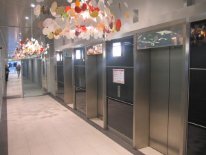 25-Franklin-Street-Office-for-Lease-1058-42ca0073-3b82-e311-814d-005056920143_IMG_4989-MAINSHOT