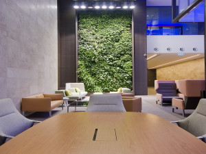 Chesser-House-Office-for-Lease-1455-1a03771a-773c-e811-8123-e0071b714b91_H_DSF0232_resize