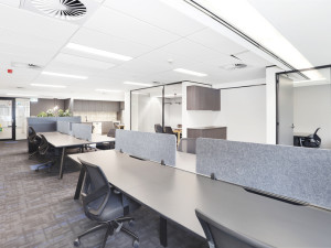 165-Walker-Street-Office-for-Lease-4590-956b4bbc-d161-4262-8611-f82fc6428e67_440118_rsb